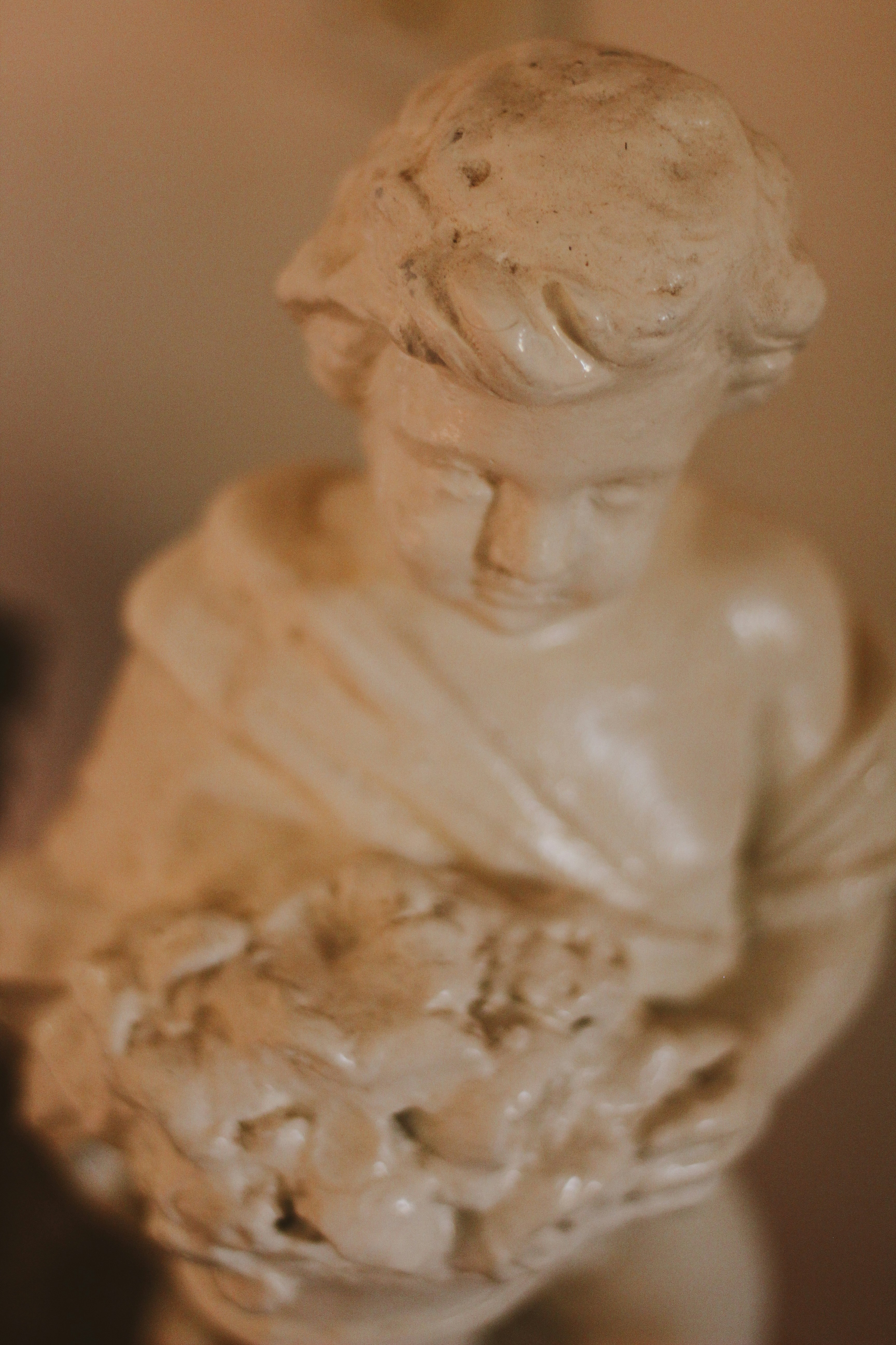 Photo by igorrodrigues