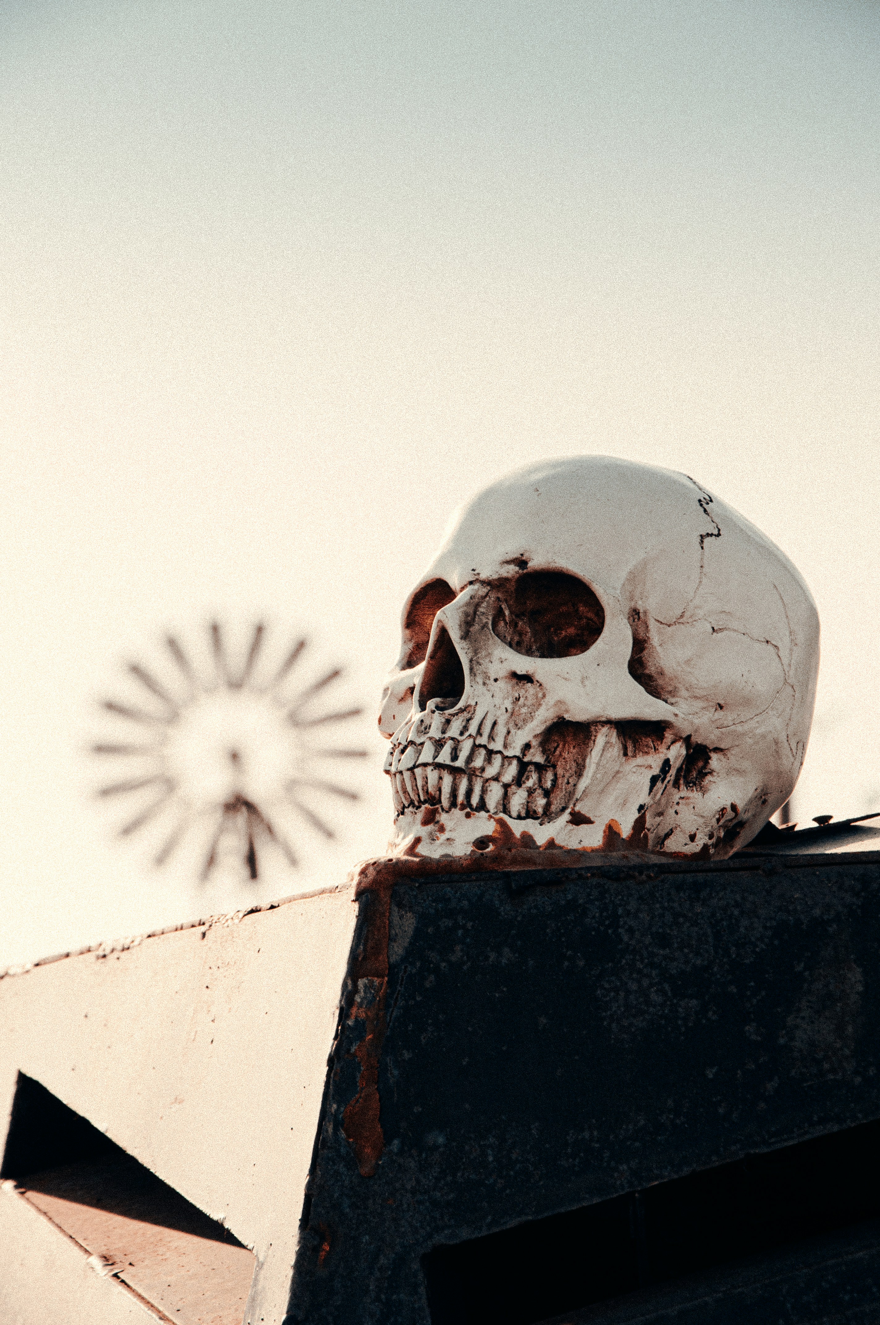 Skull themed clothing and gear
