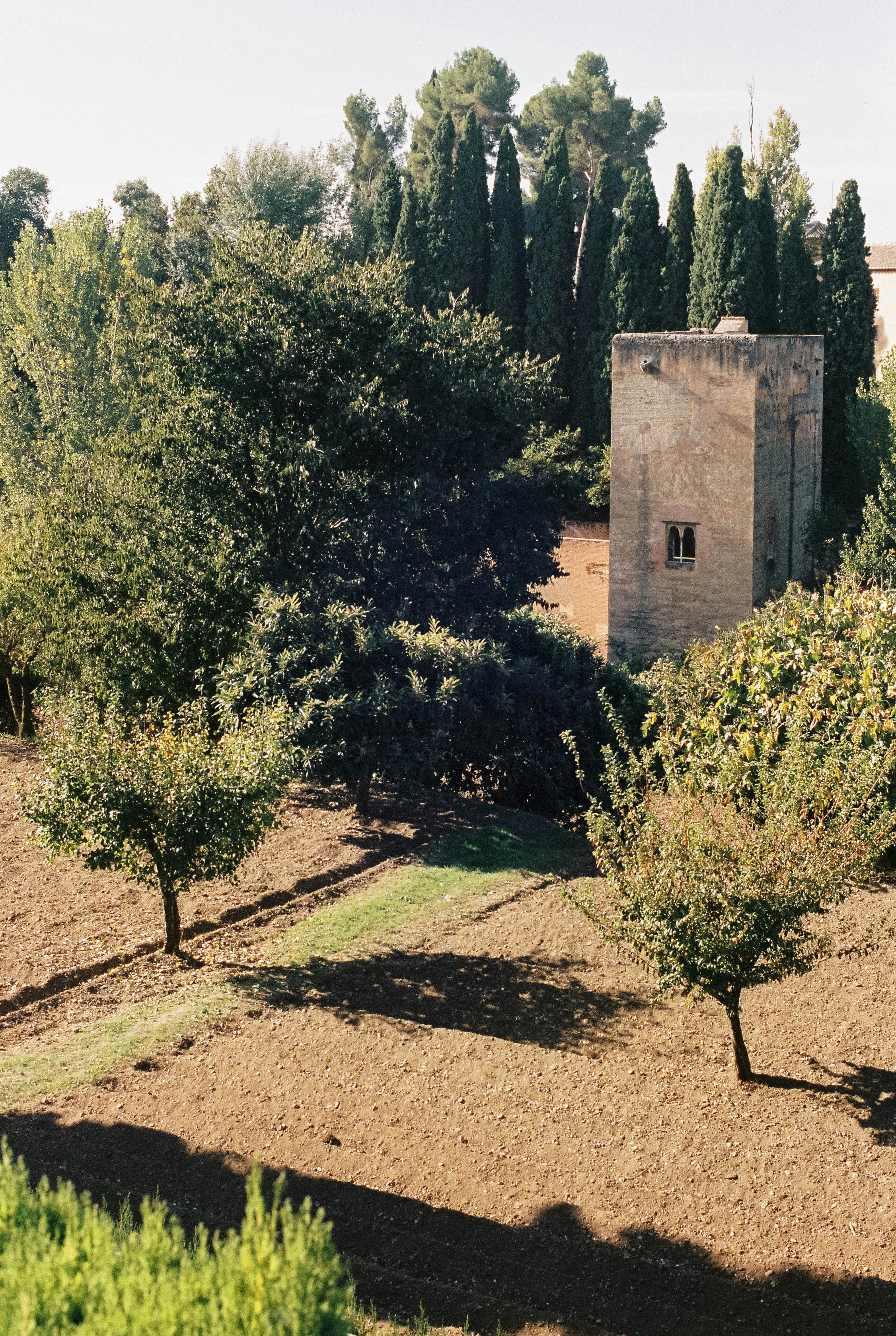Photo by pelayoarbues
