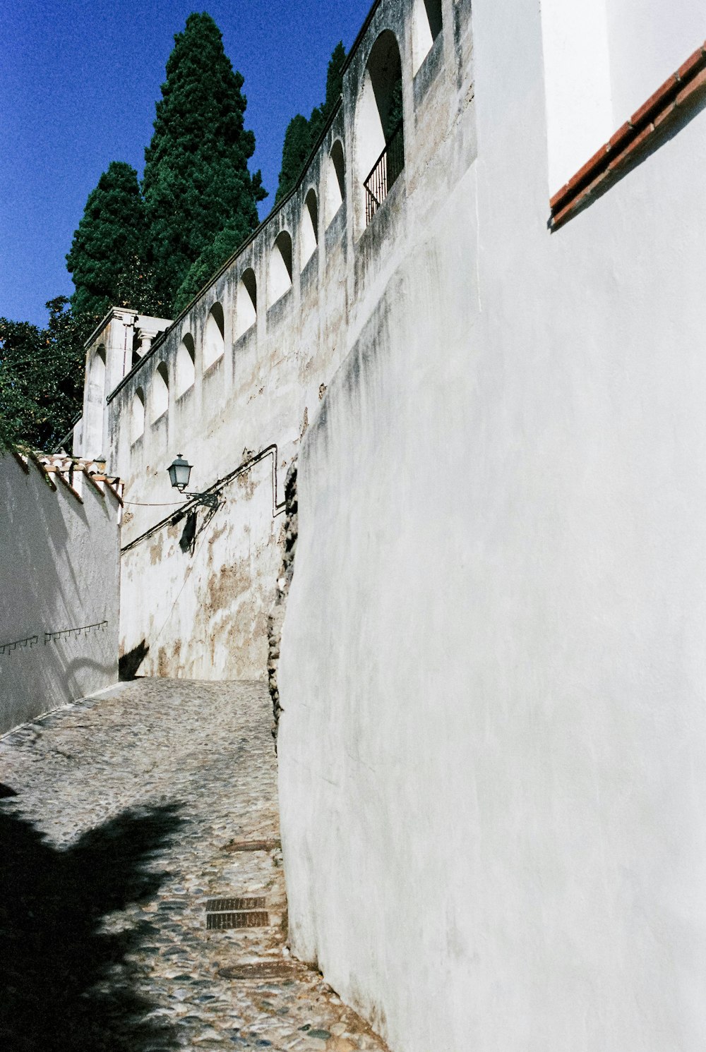 green trees beside white concrete wall