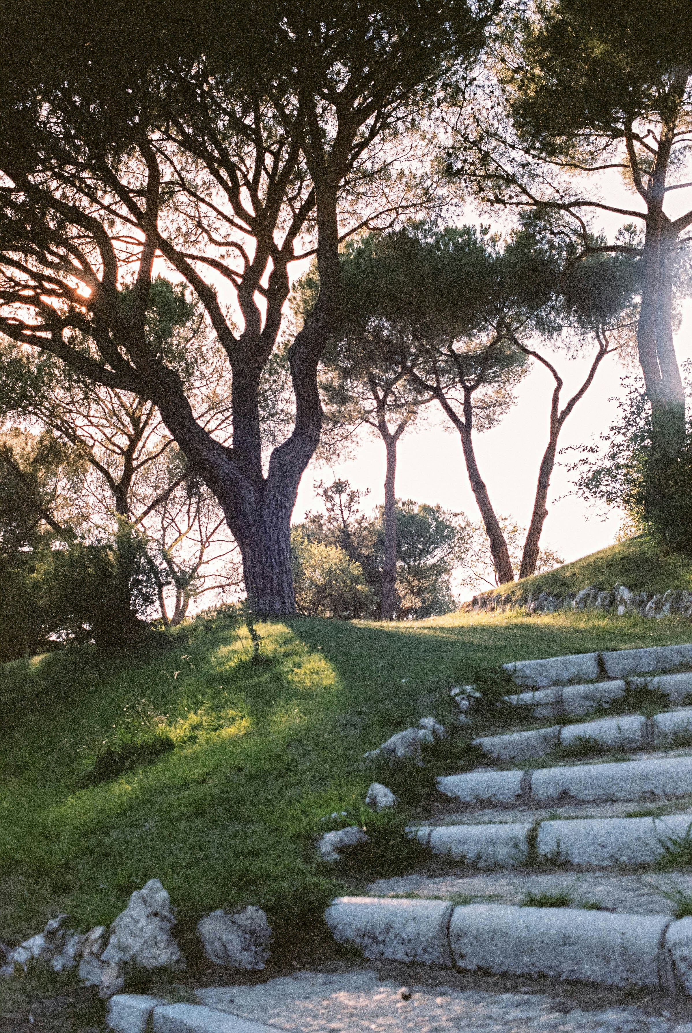 Stairs at Parque Dehesa de la Villa in Madrid (Spain)