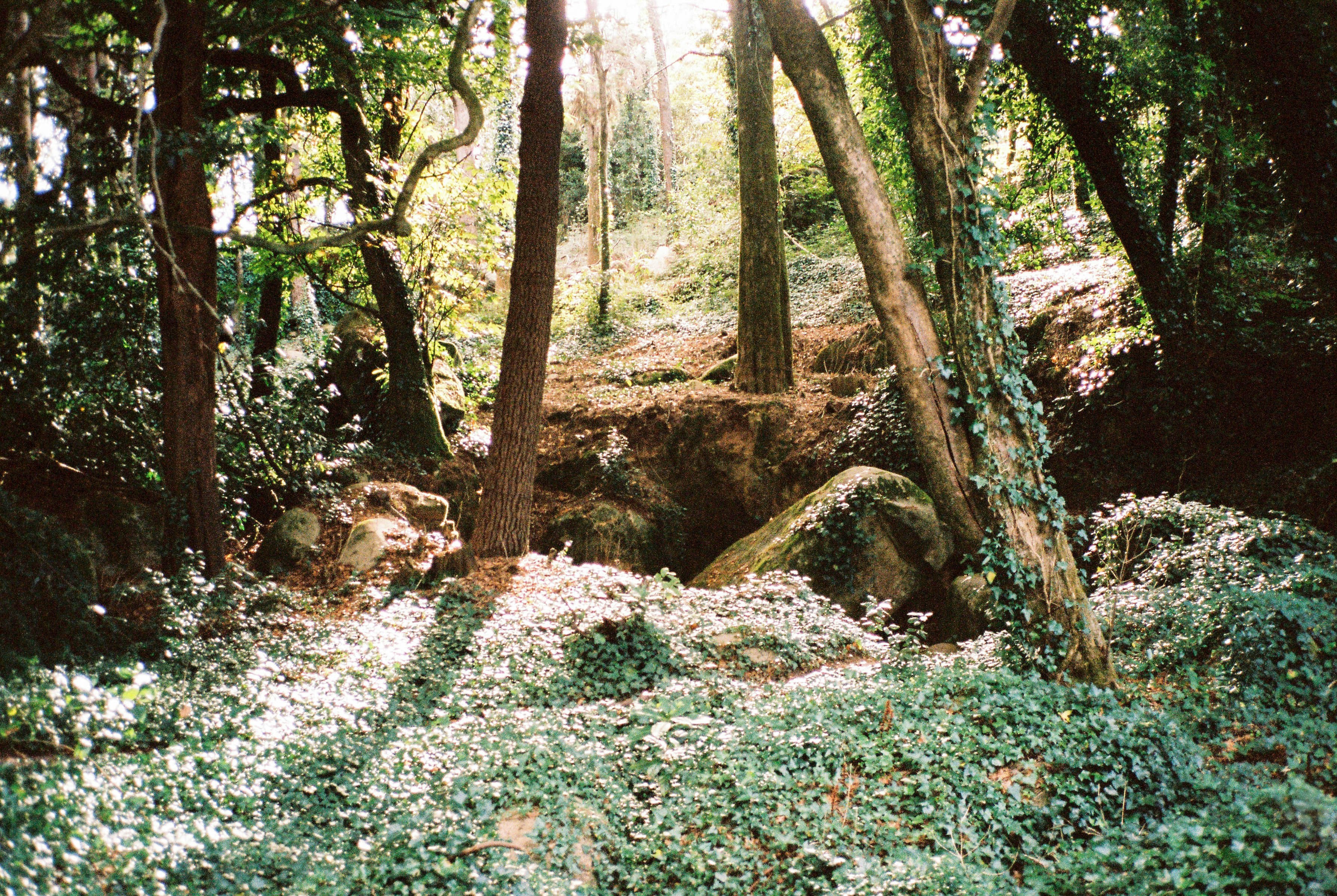 Photo by pelayoarbues