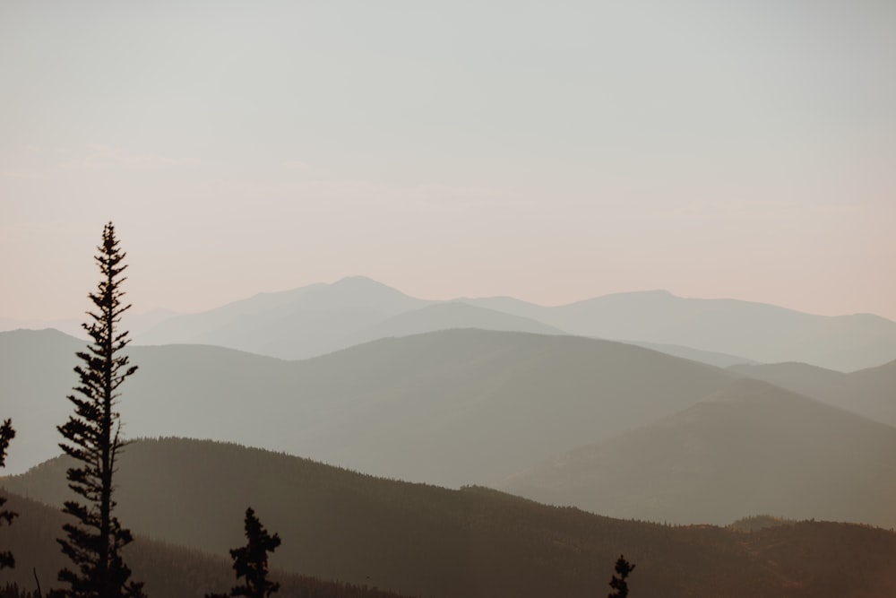 silhouette of person standing on top of mountain during daytime