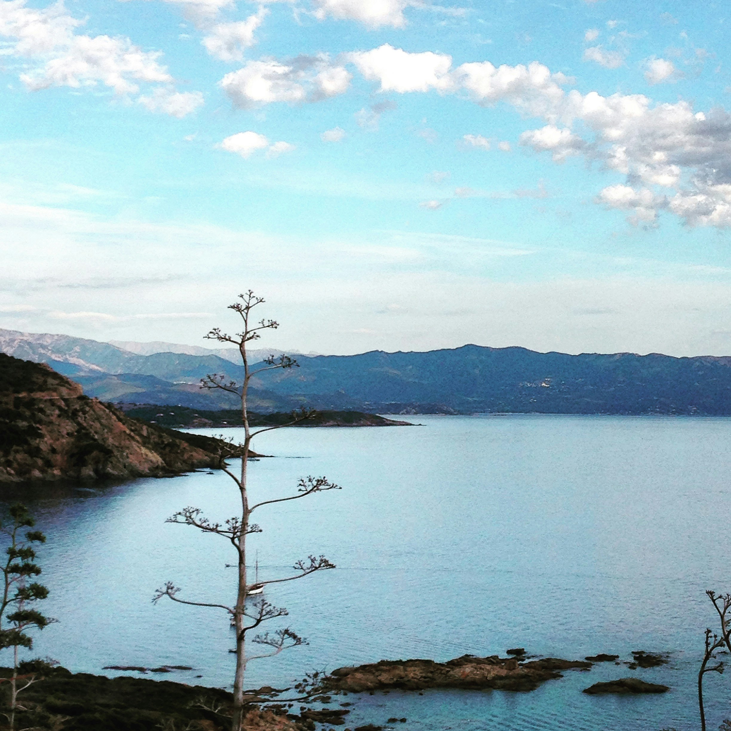 Photo by judithgirardmarczak