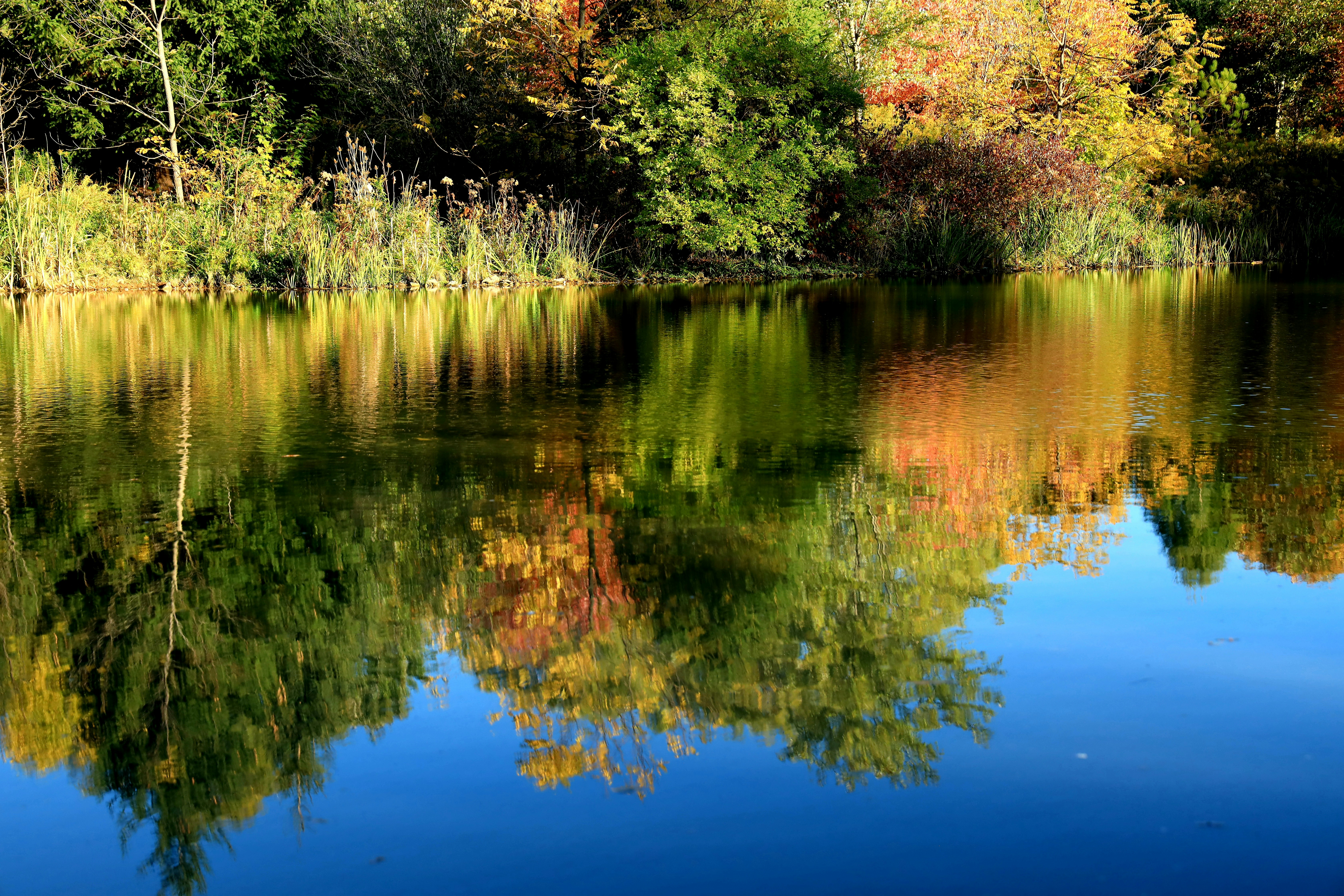 Photo by richardworks