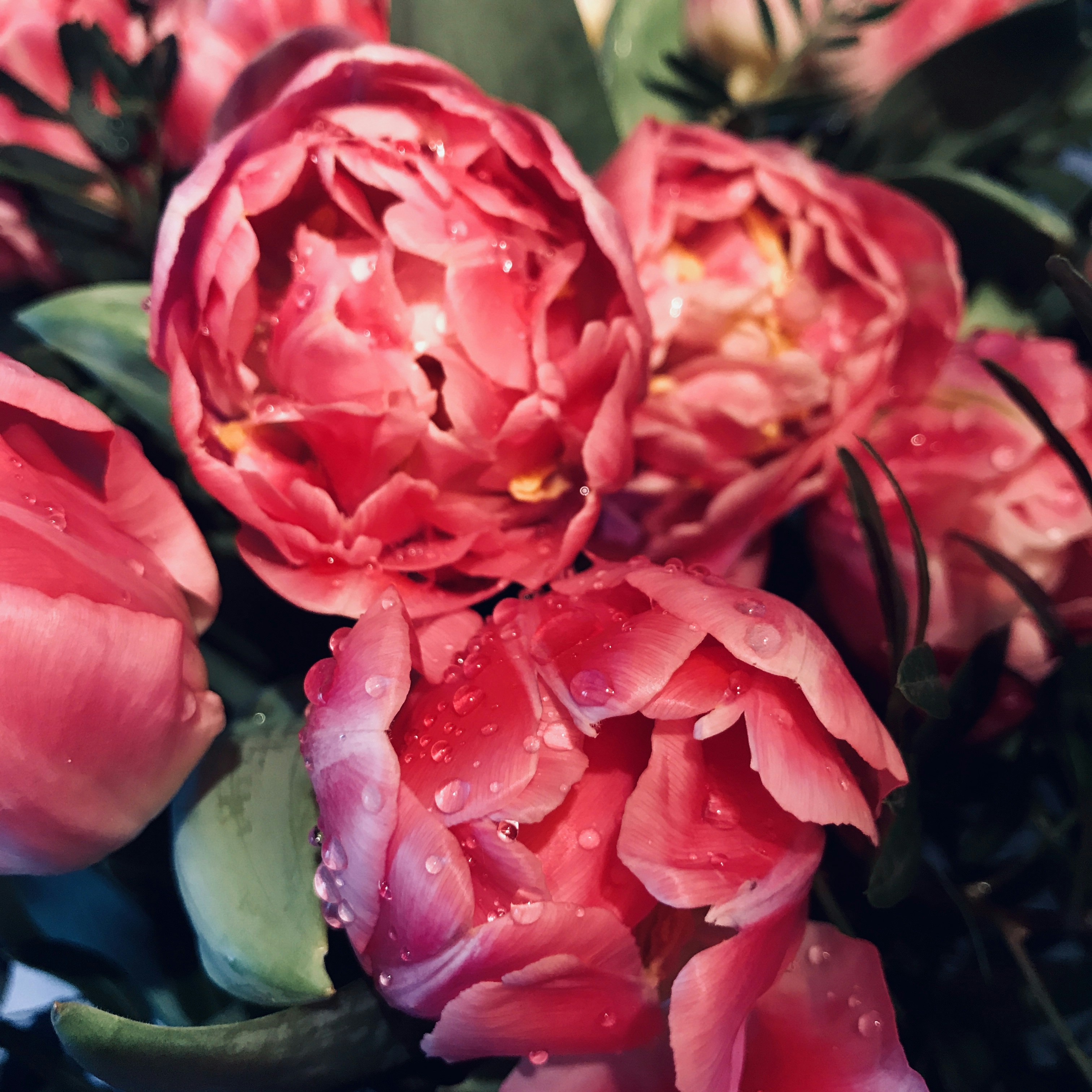 Photo by judithgirardmarczak