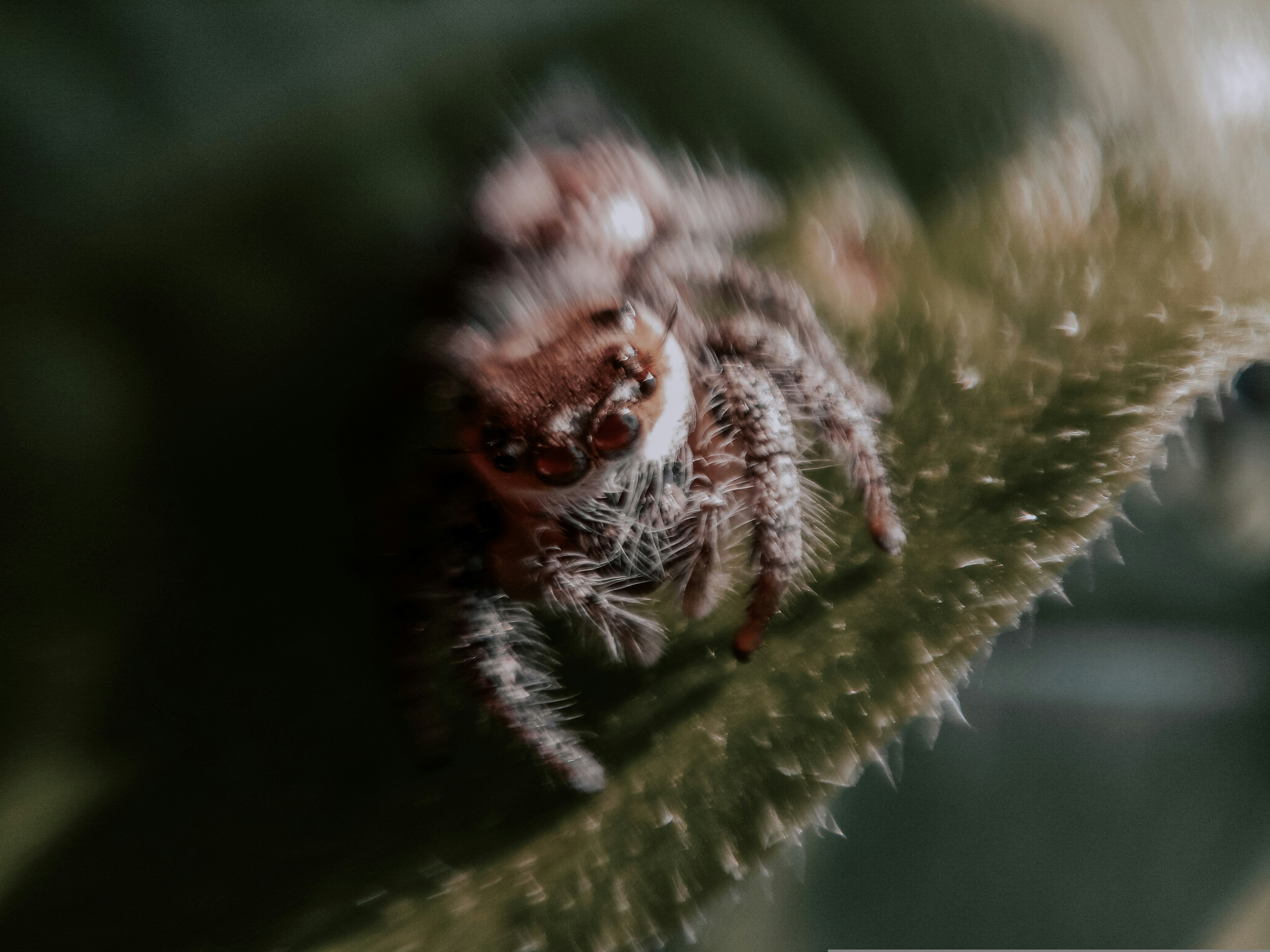 Photo by arun_pattanayak