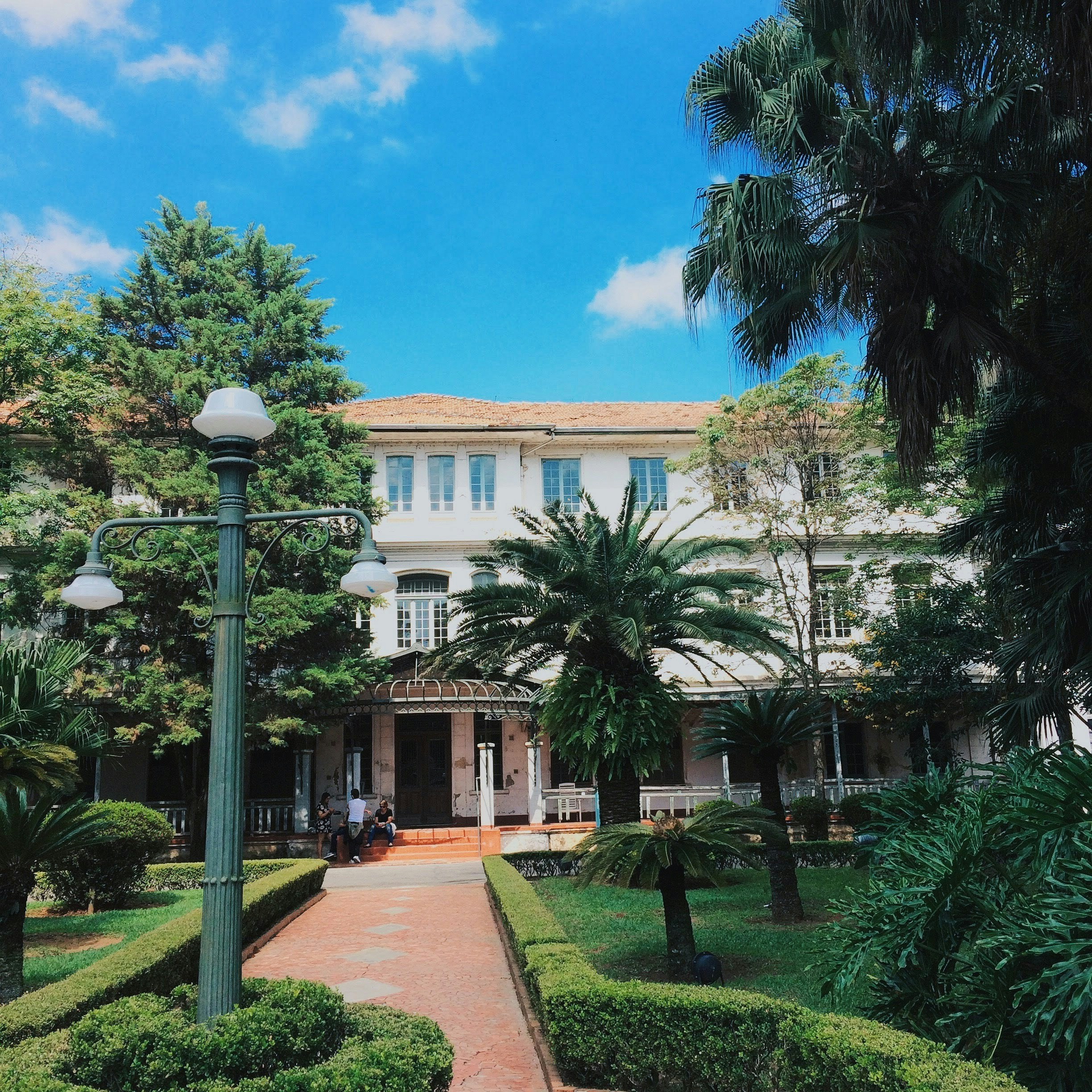 Photo by marcosviniciusf__