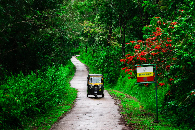 Pollachi & Topslip Tour tour package from Tamil Nadu