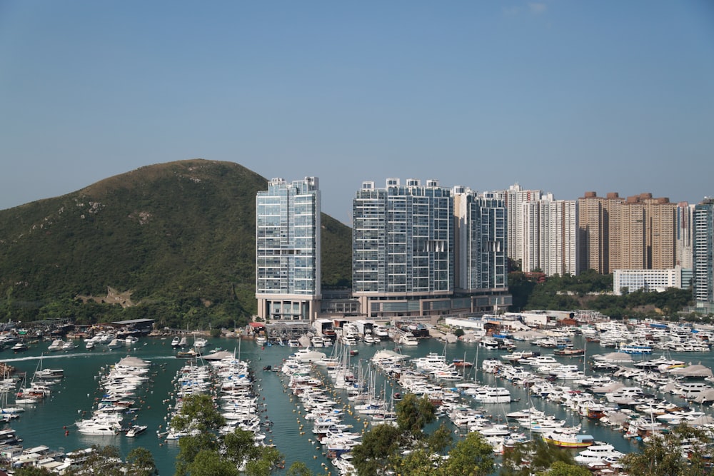 white and gray concrete buildings near green mountain during daytime