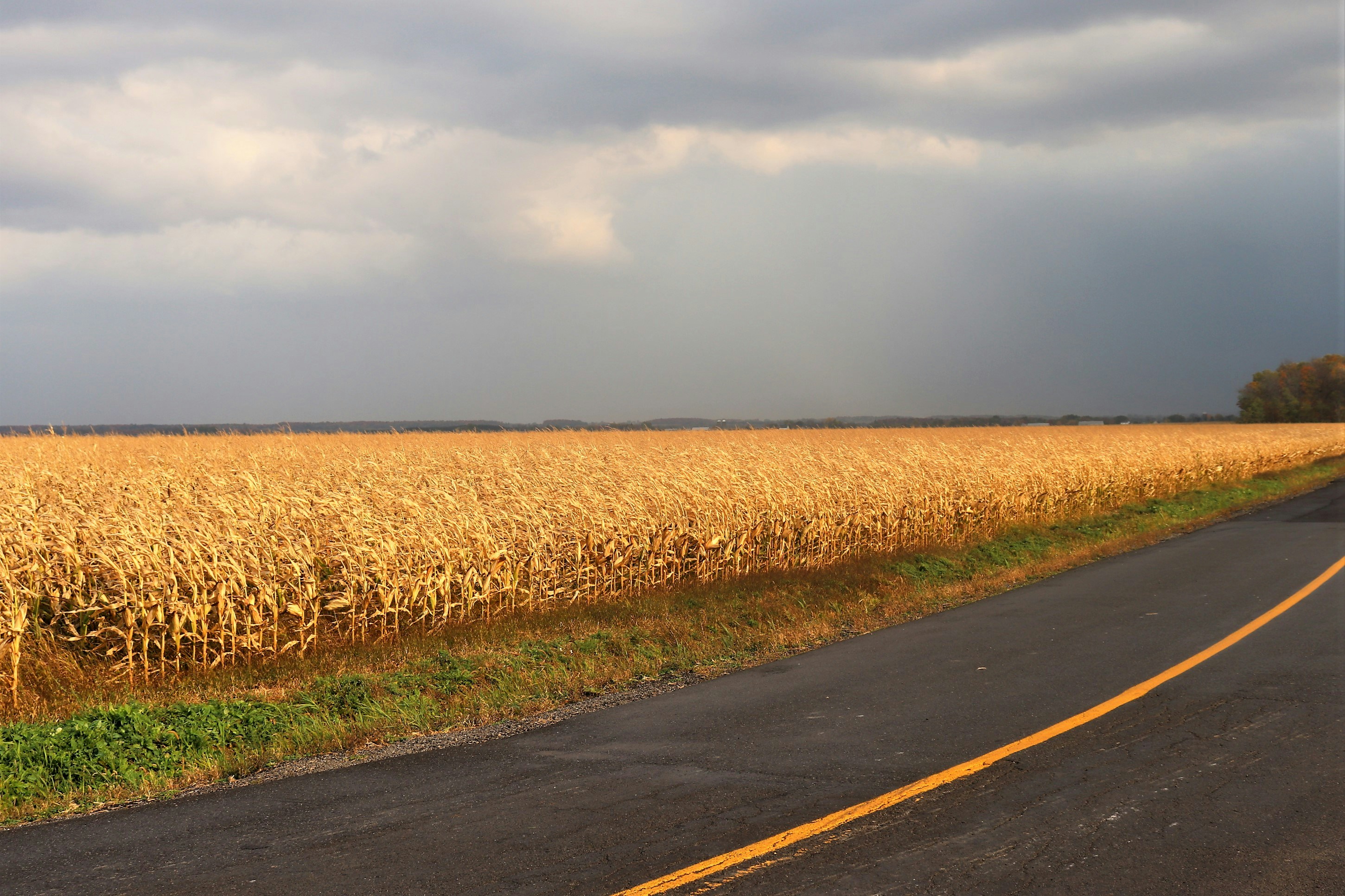 Photo by firebirdvll