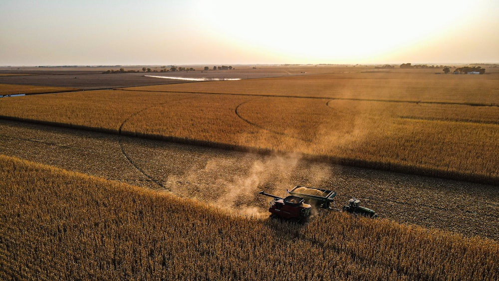 black car on brown field during daytime