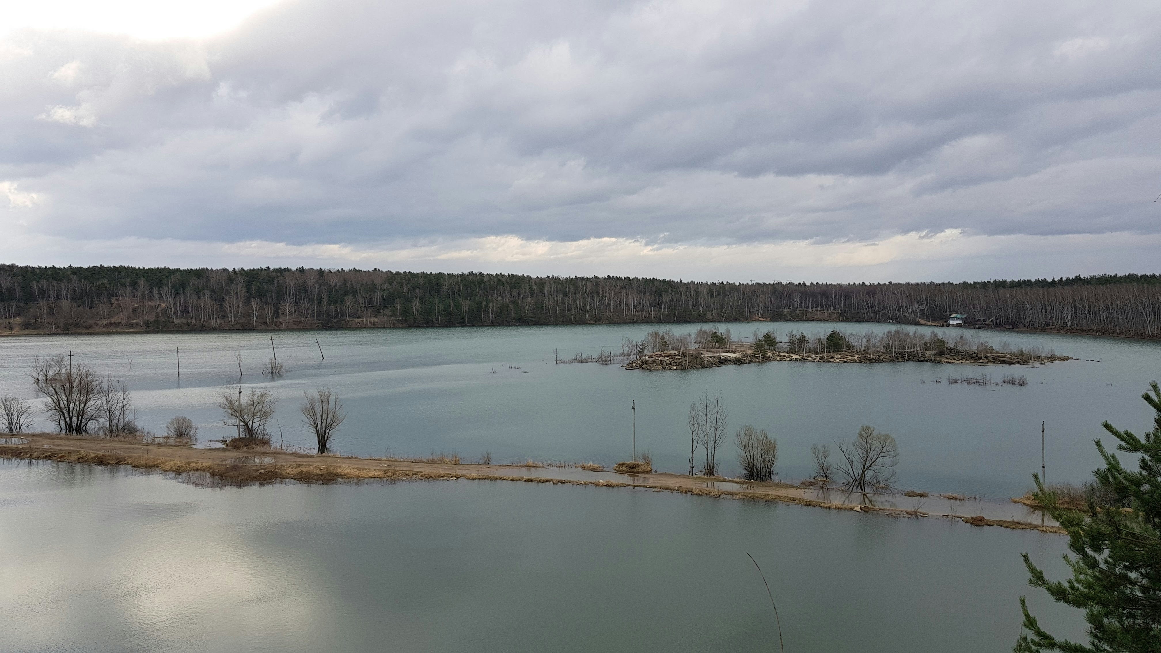 green trees beside lake under cloudy sky during daytime