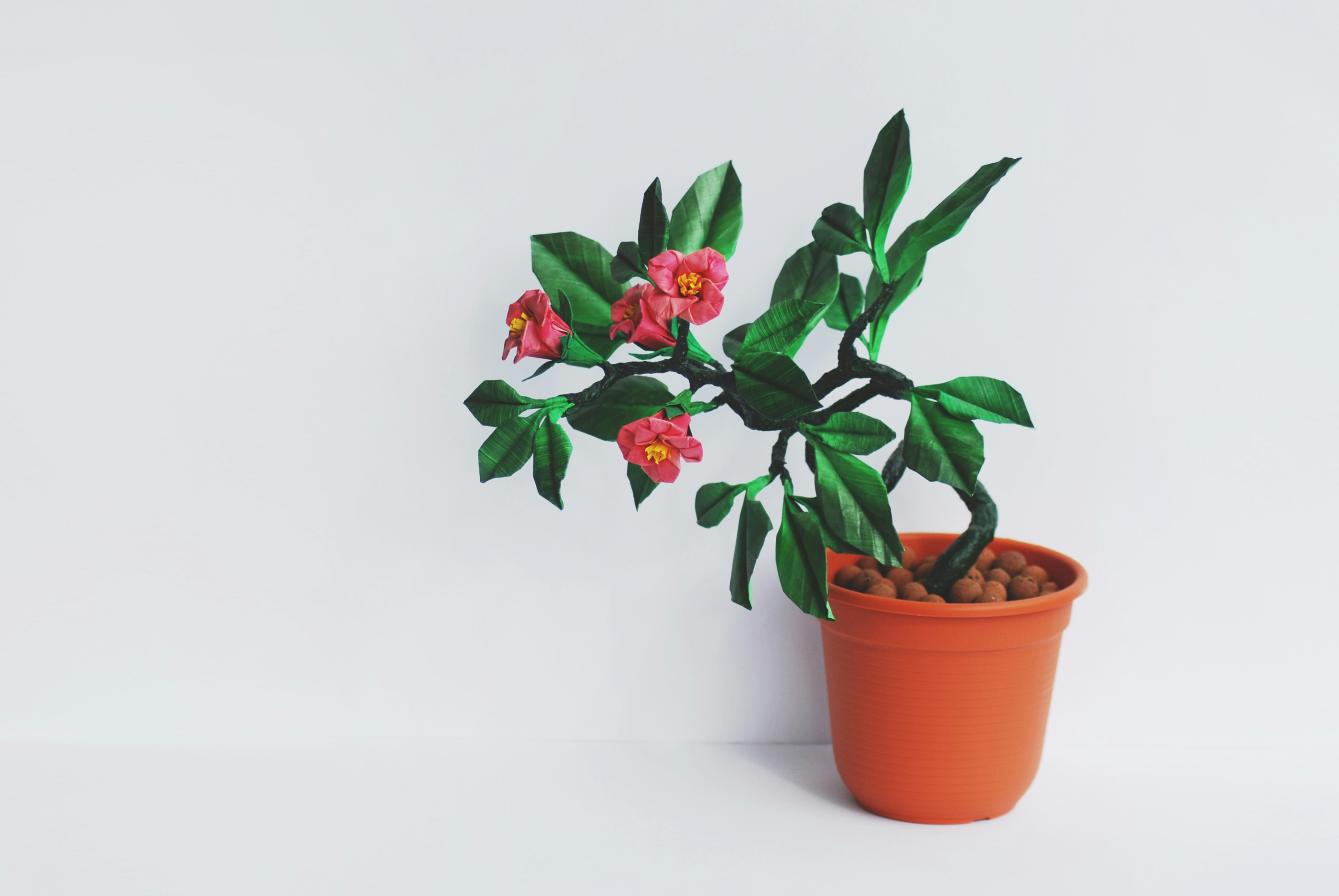 Photo by origamiaround