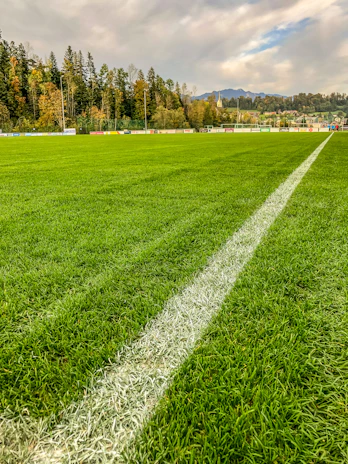 green grass field near green trees under blue sky during daytime