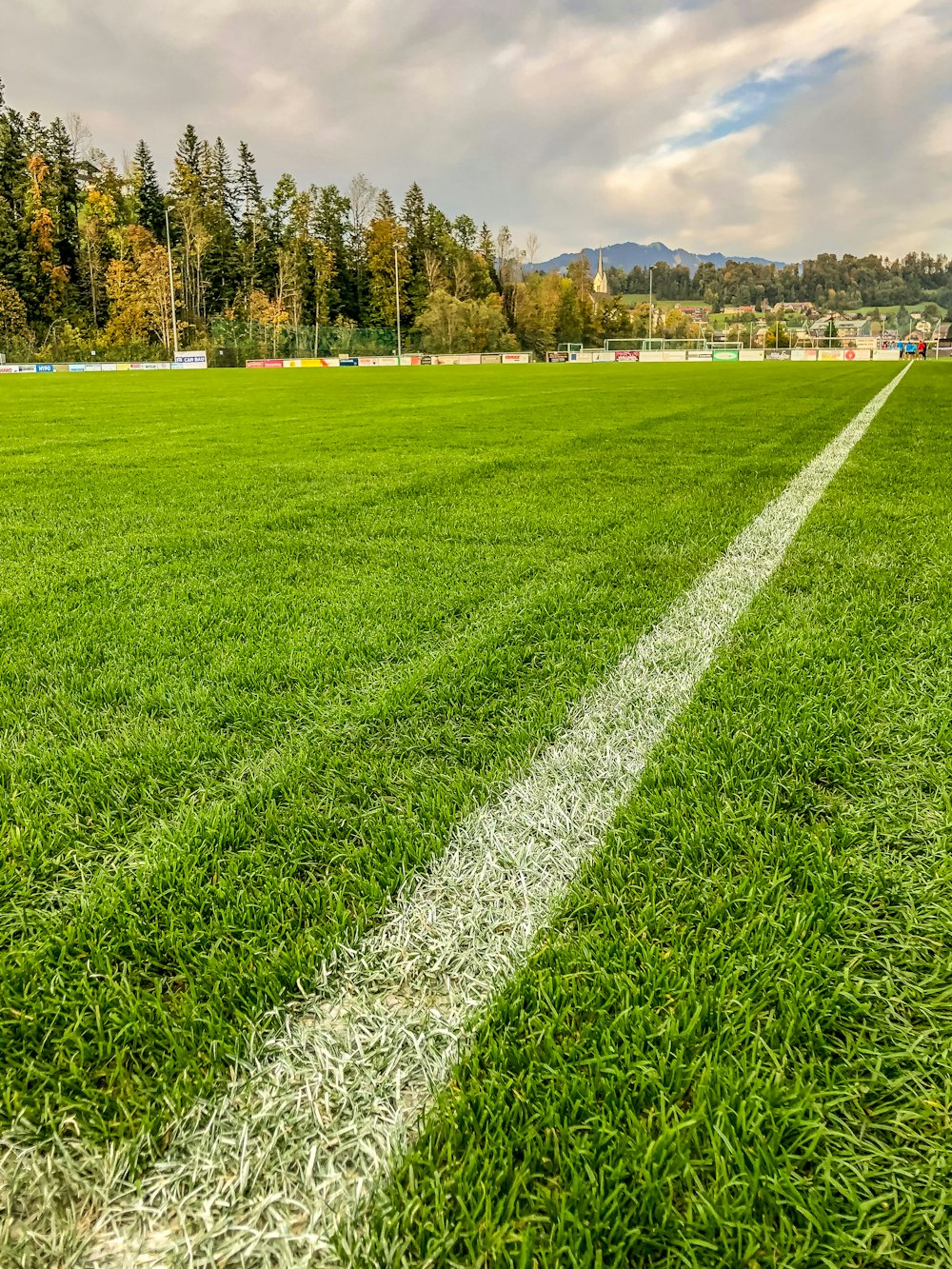 green grass field near green trees under blue sky during daytime