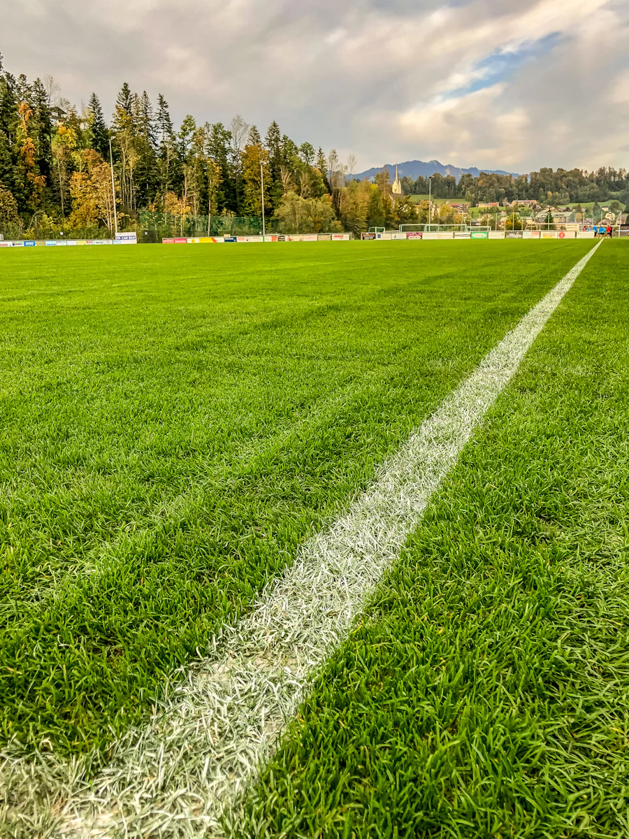 Grass sports field with trees behind