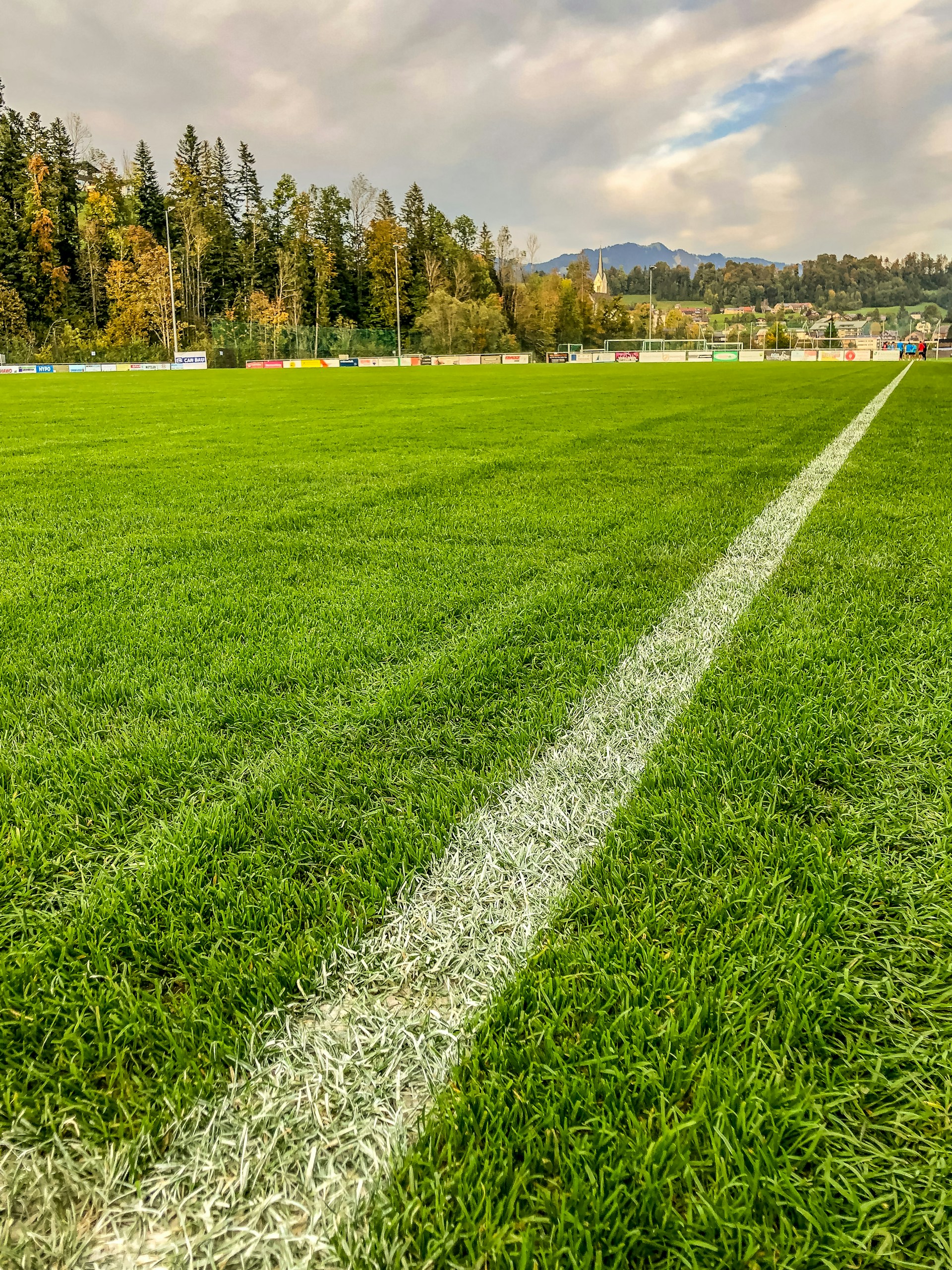 green grass field near green trees under blue sky during daytime