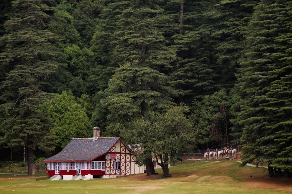 people walking on green grass field near green trees during daytime