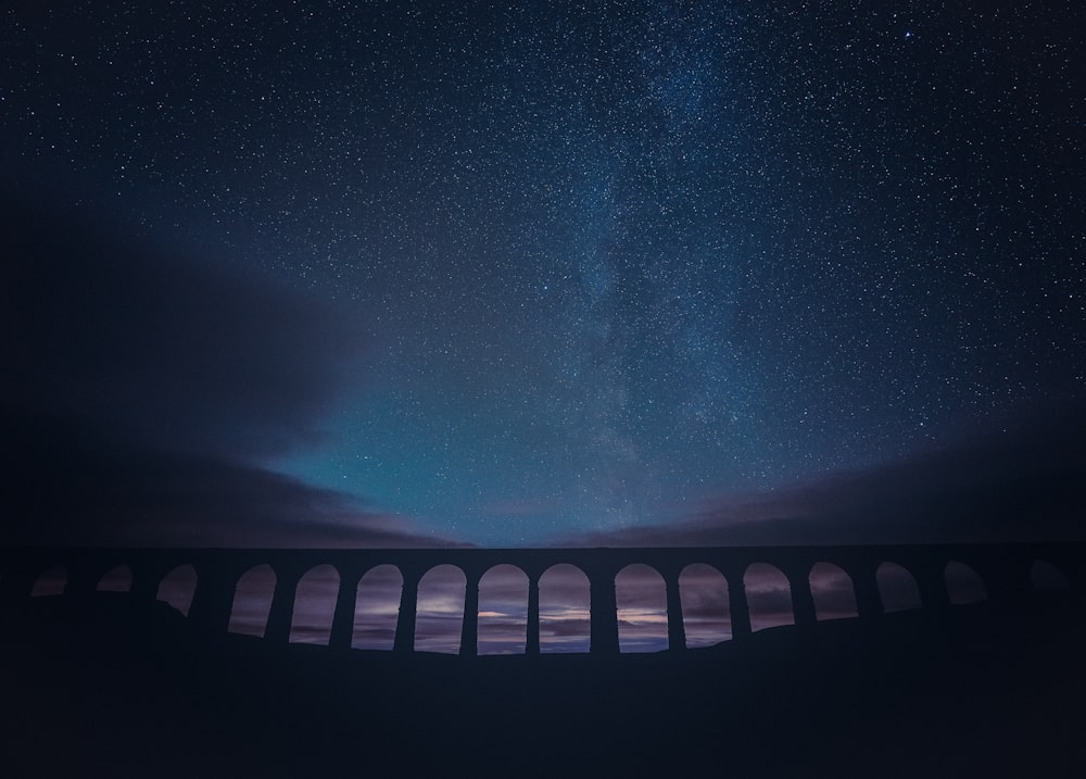 ponte in bianco e nero sotto la notte stellata