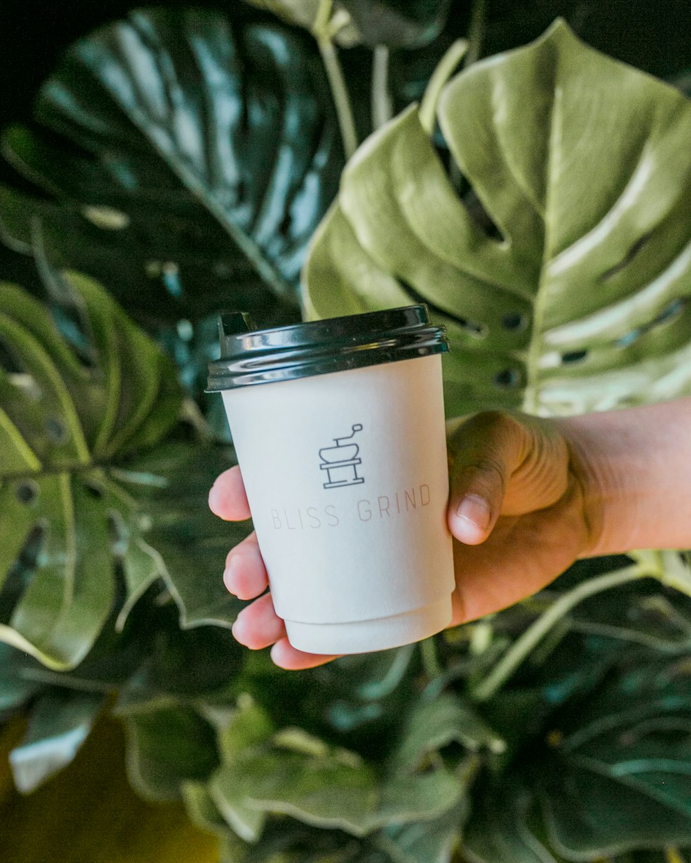 person holding white and black disposable cup