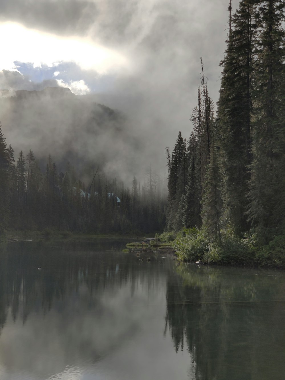 green trees beside body of water under cloudy sky during daytime