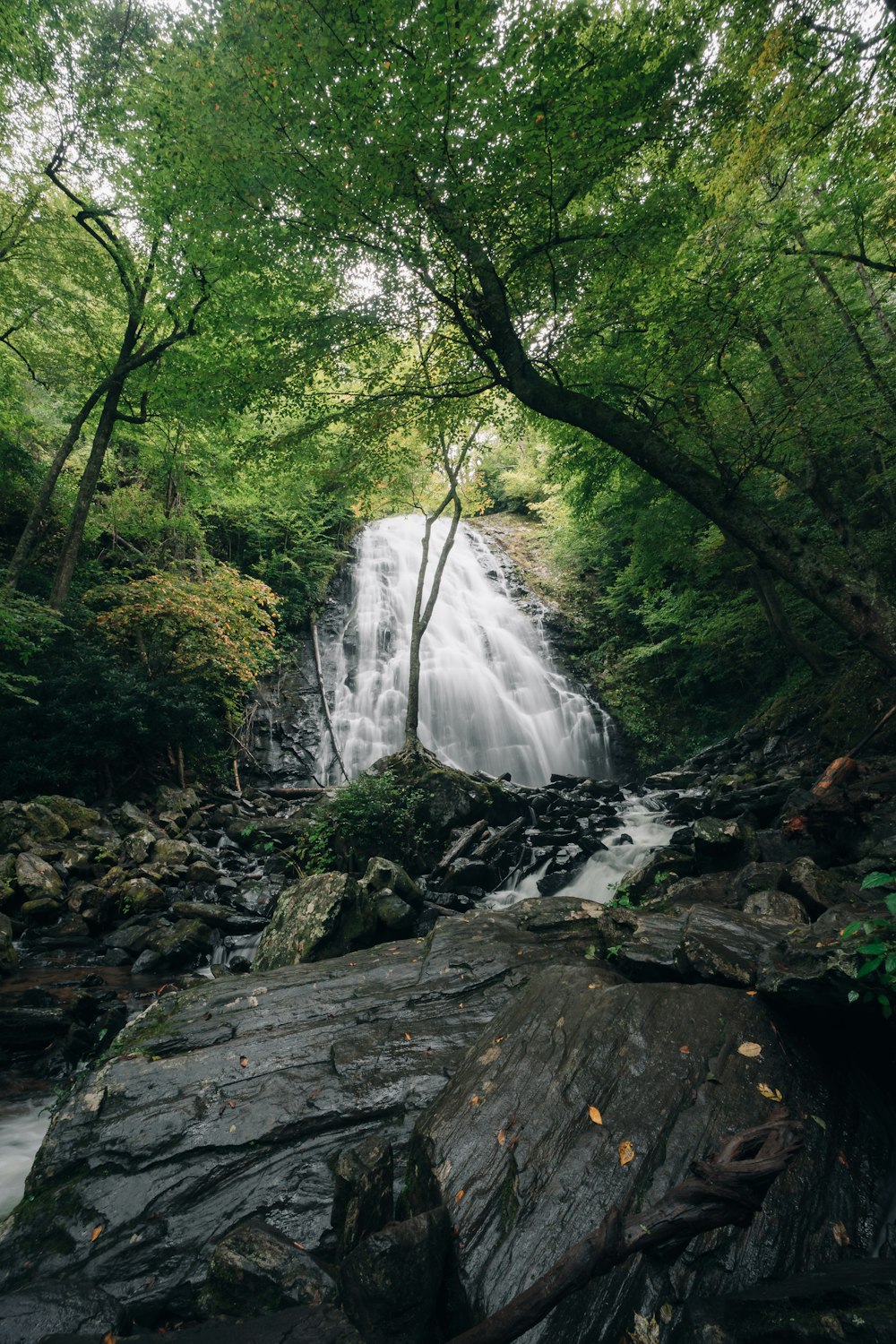 waterfalls in the middle of the forest