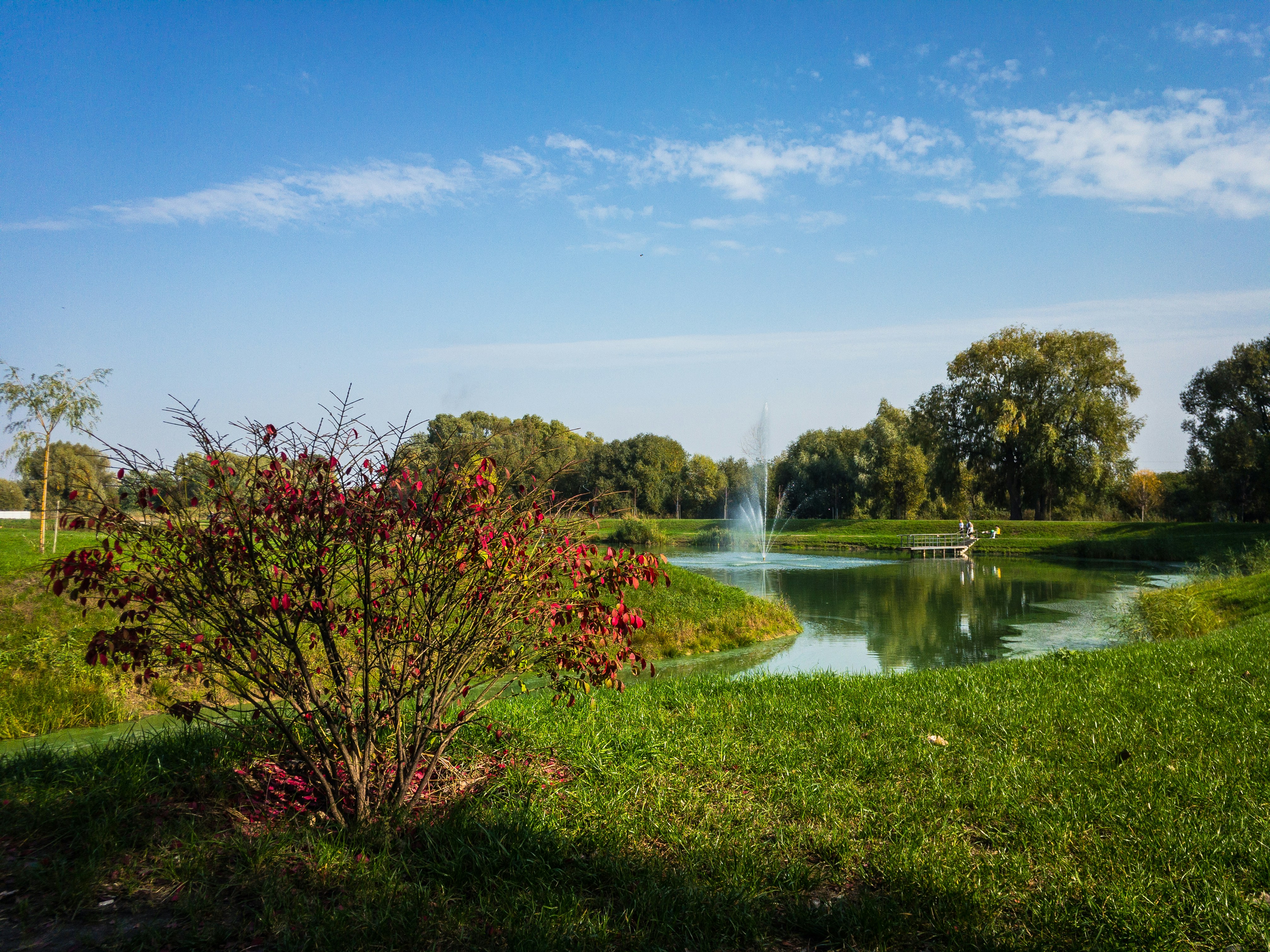 Photo by ingvar_erik