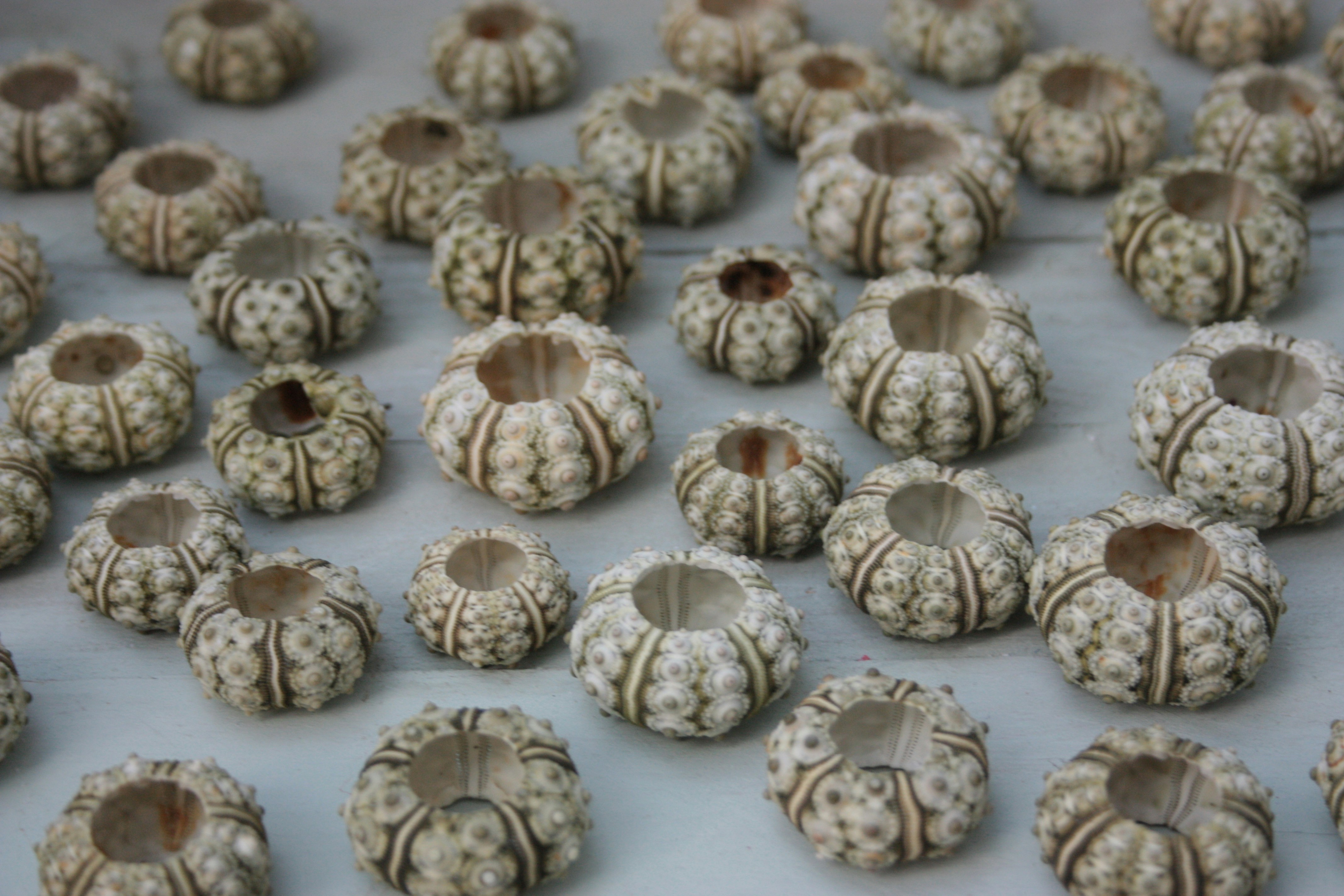 brown and white round ornament