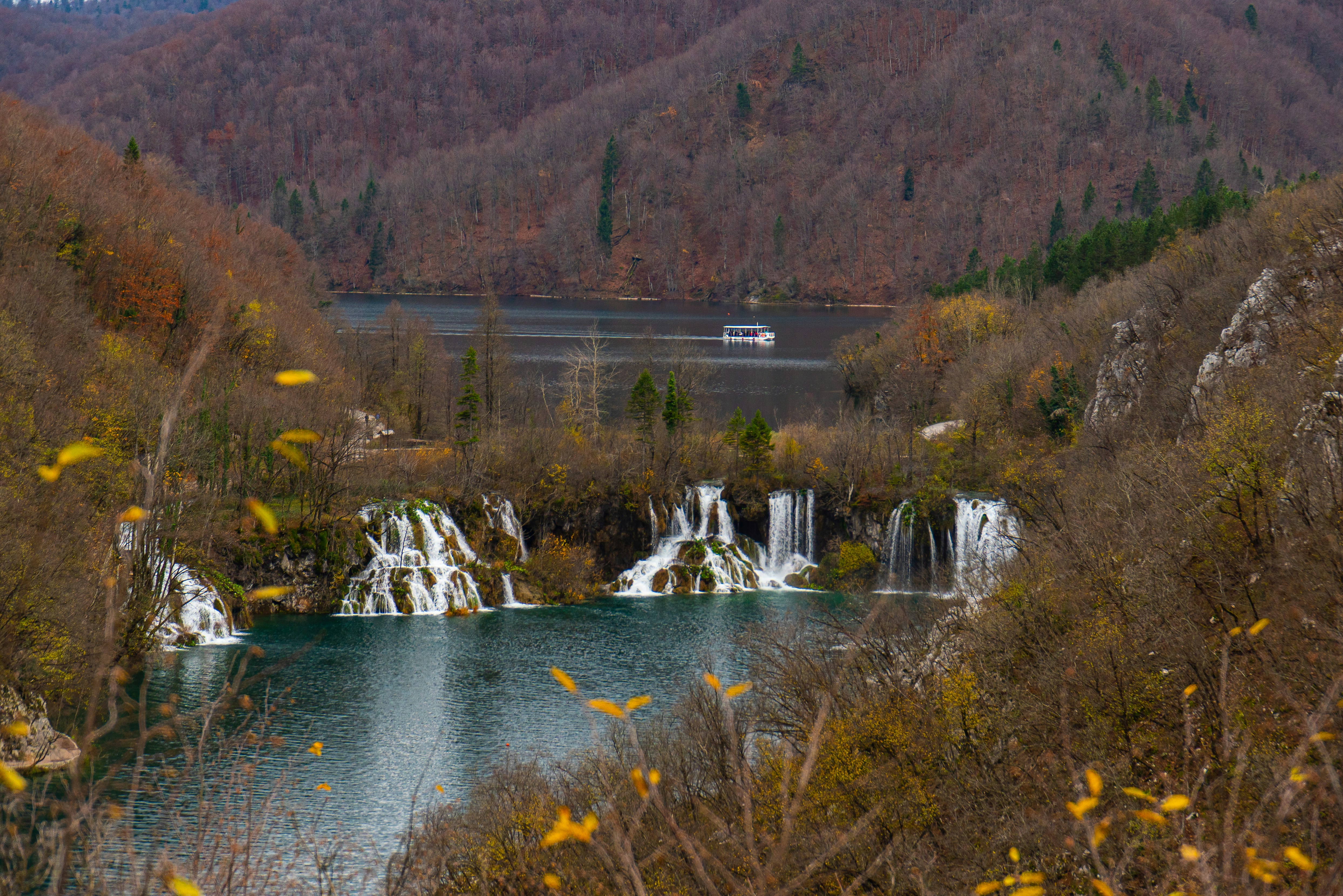 green grass and trees near lake during daytime