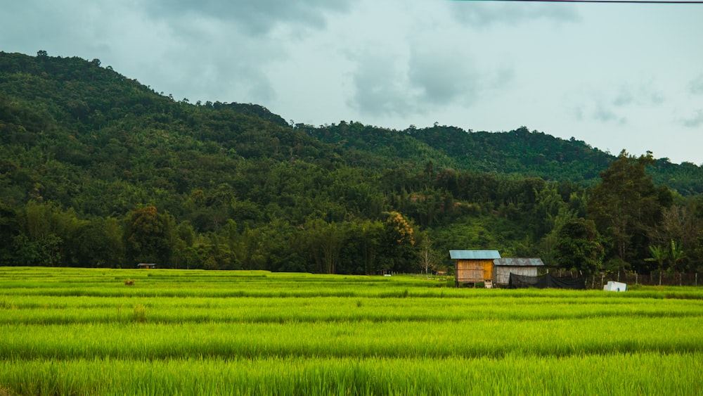 green grass field near green mountain under white clouds during daytime