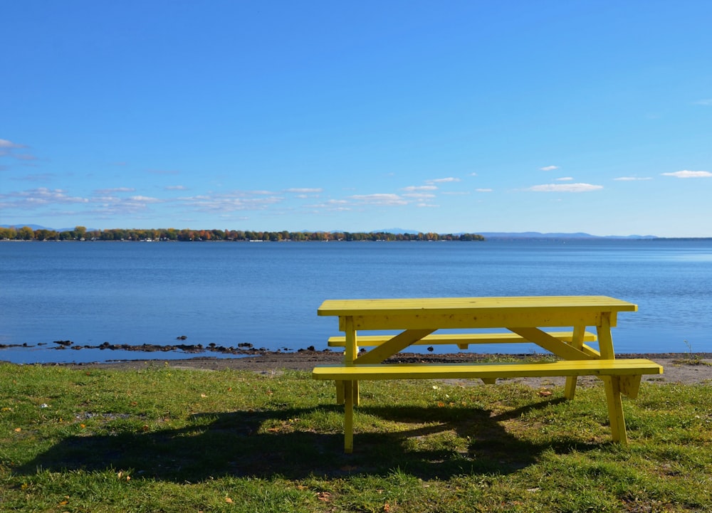 brown wooden bench on green grass field near body of water during daytime