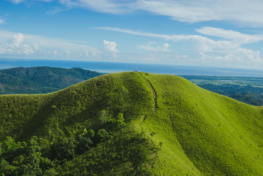 Campo de hierba verde cerca del cuerpo de agua durante el día