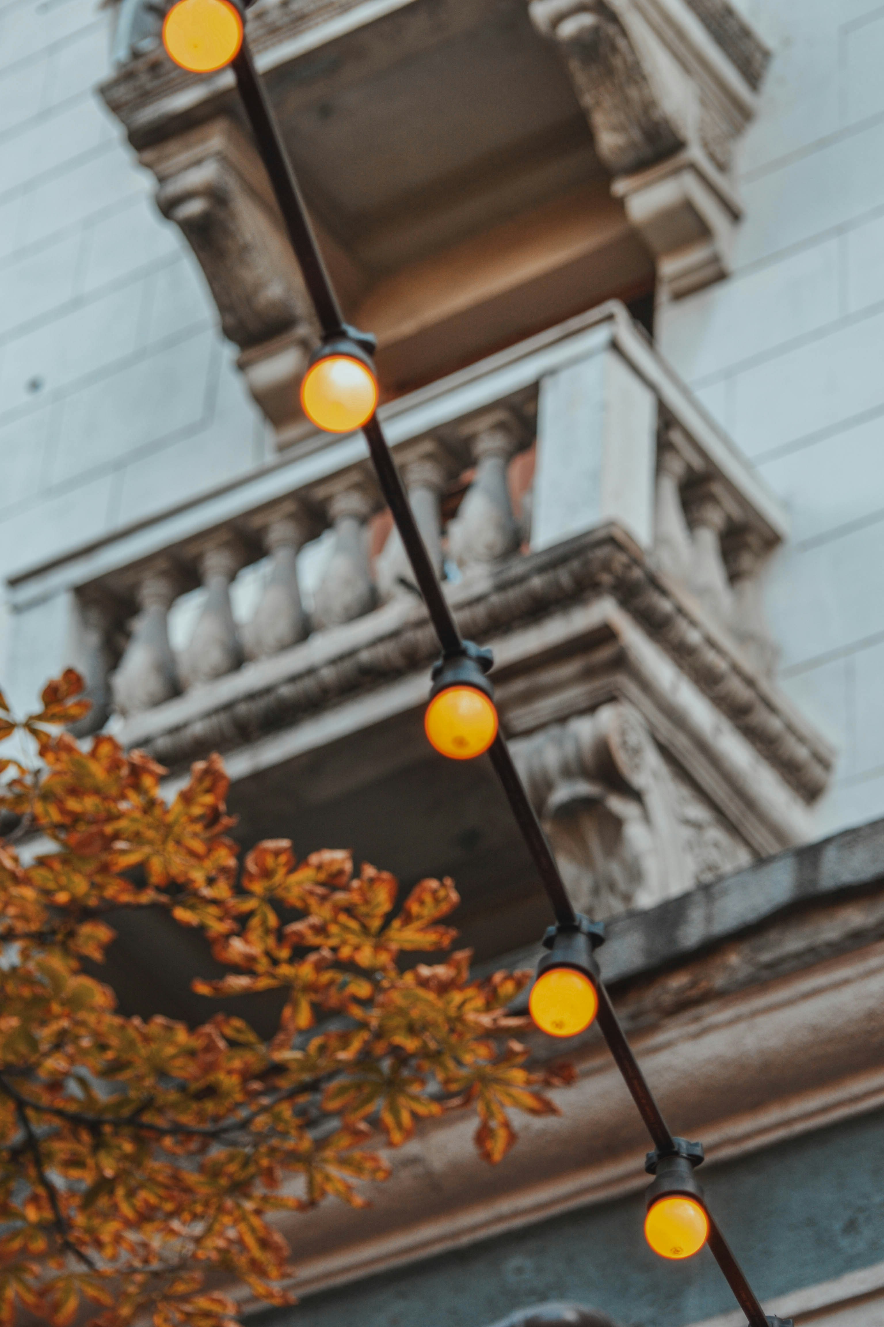 Photo by camerasimagination