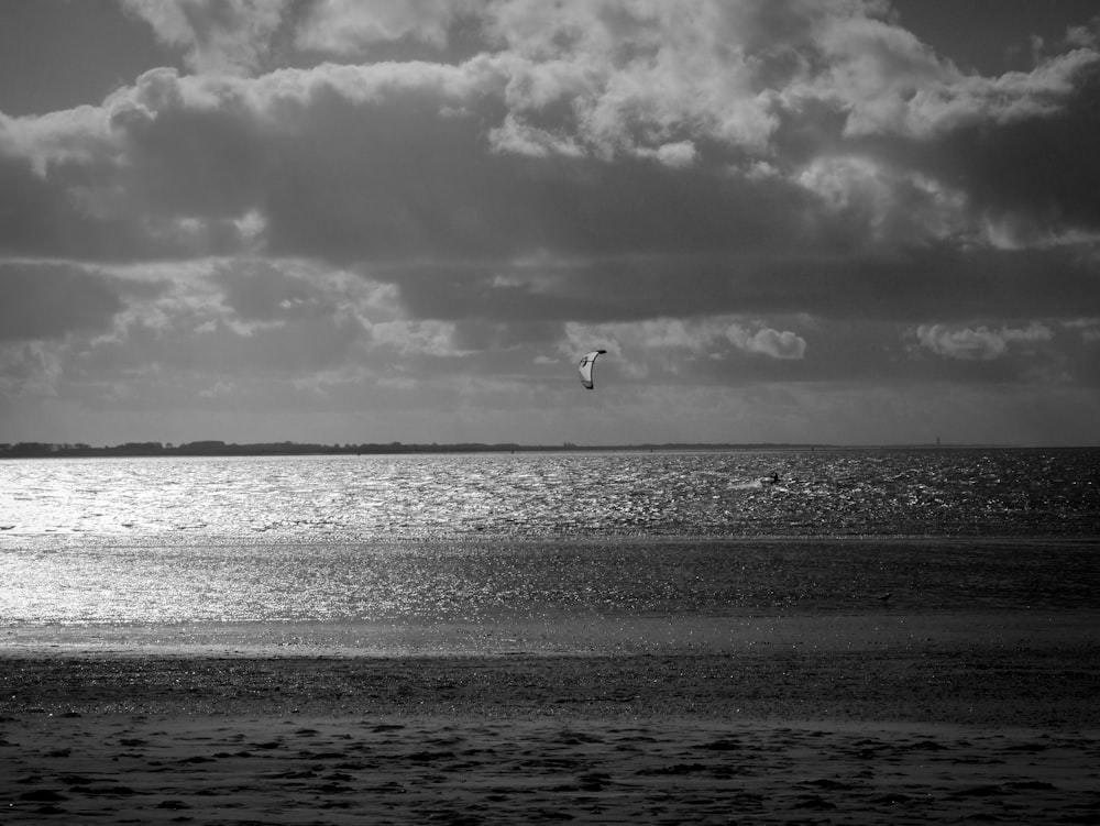 grayscale photo of bird flying over the sea