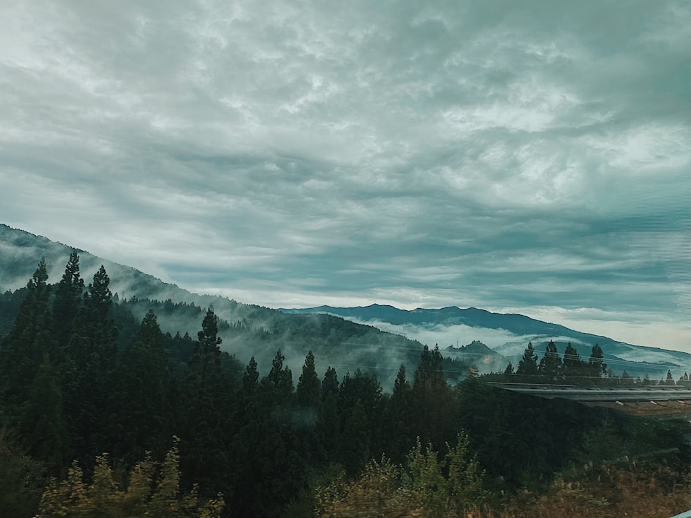 green trees near mountain under cloudy sky during daytime