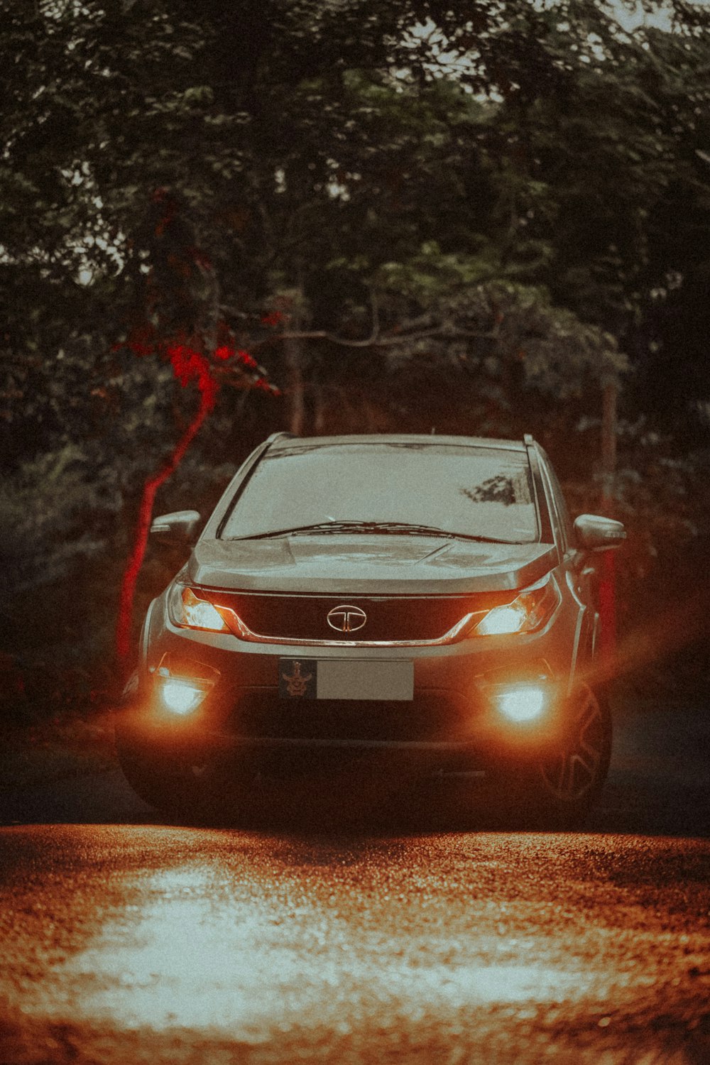 red car on road during night time