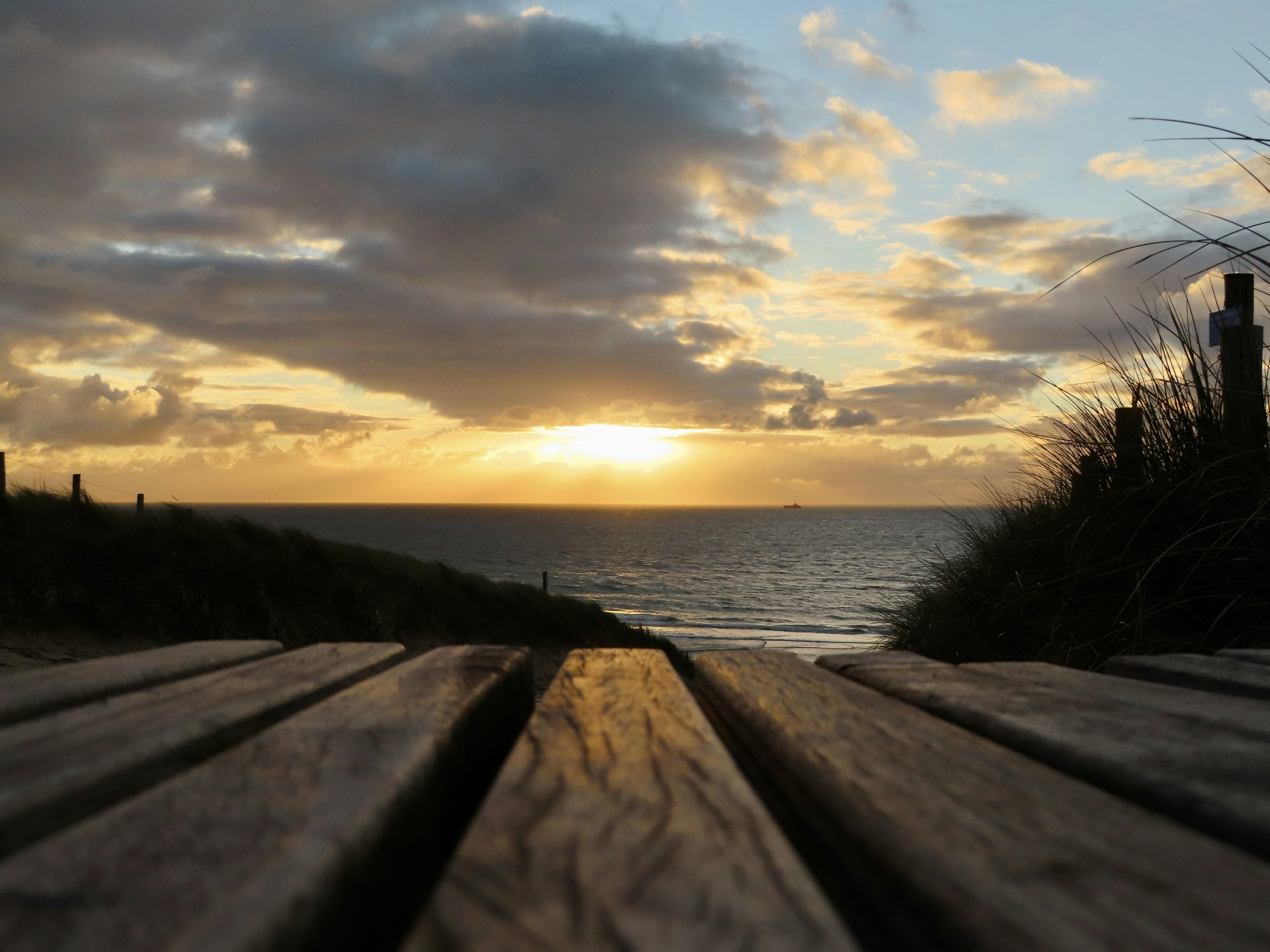 Photo by thom_reijnders