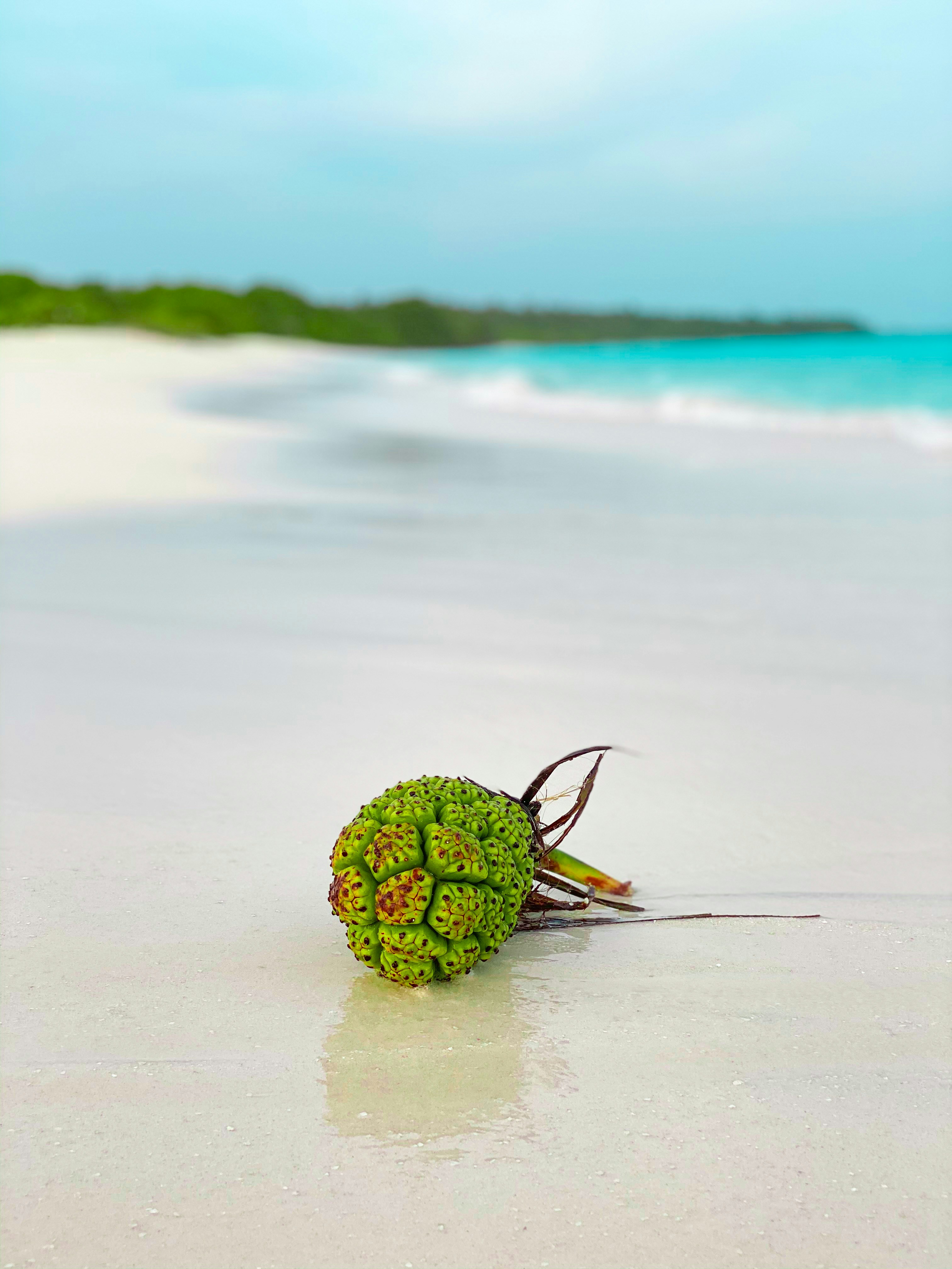 Don't worry, Beach Happy