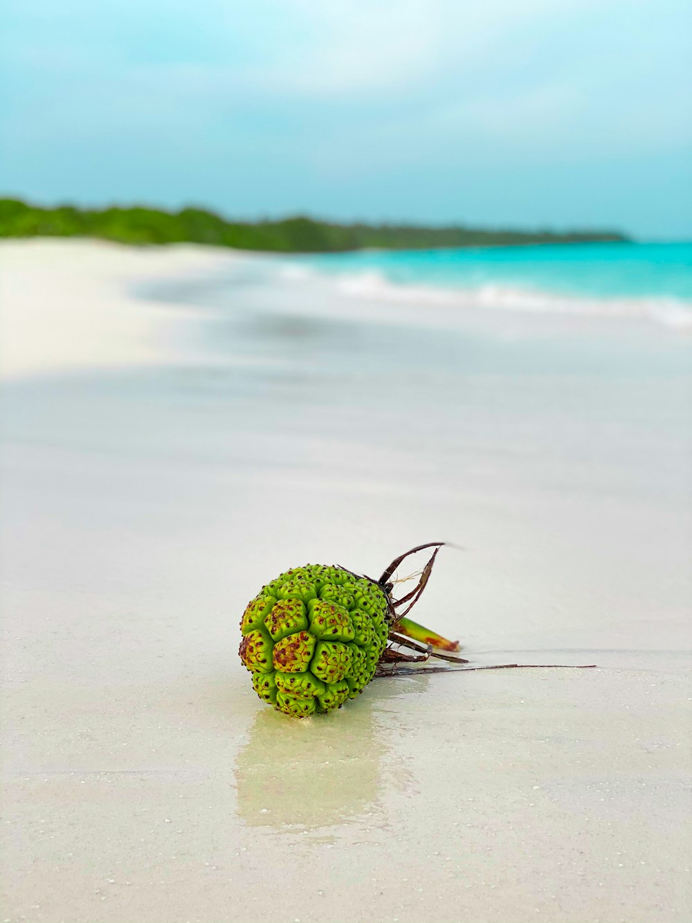 green ball on beach shore during daytime