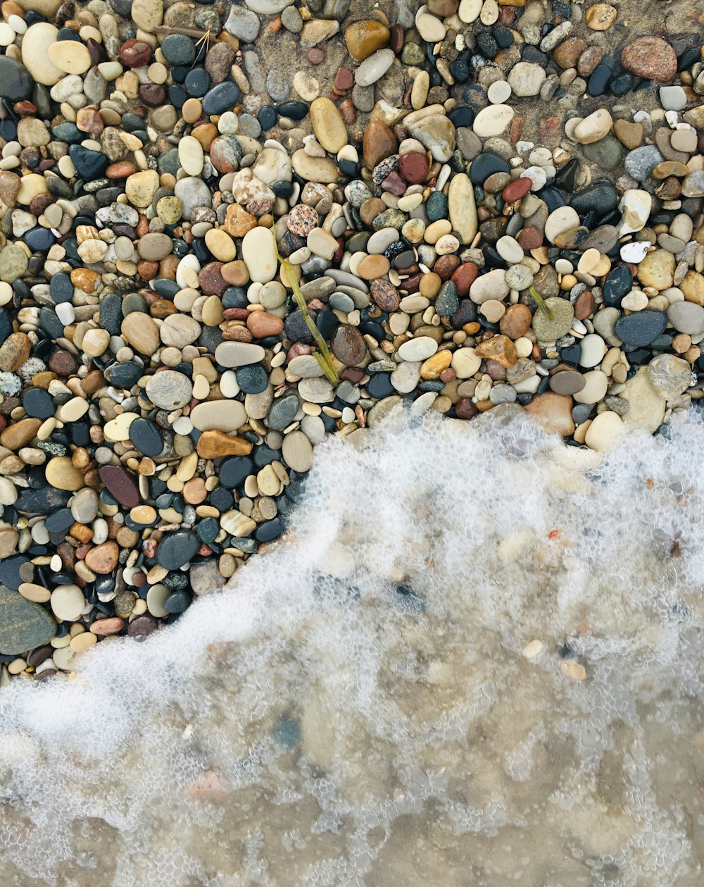 brown and gray stones on white snow