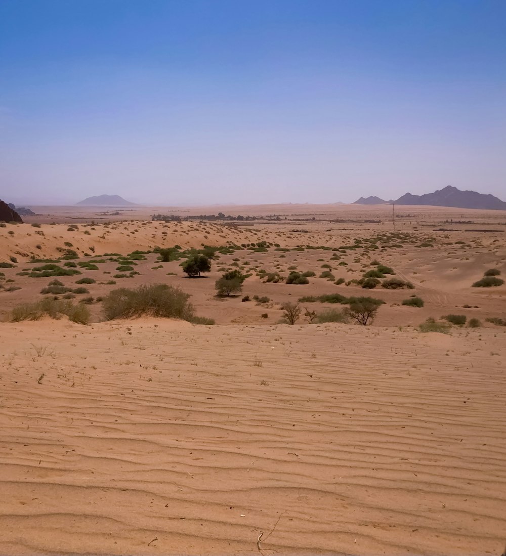 brown sand under blue sky during daytime