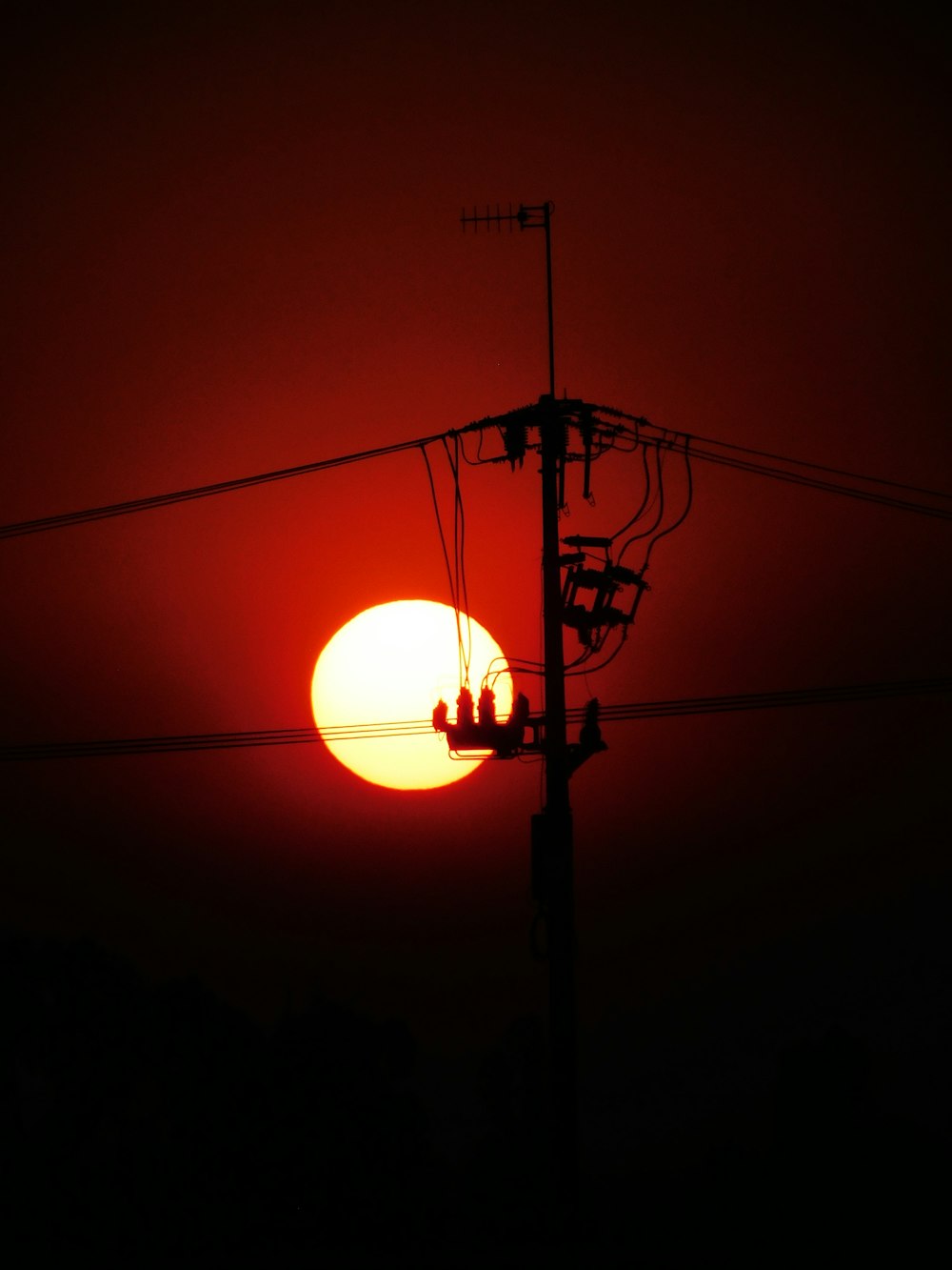 silhouette of street light during night time