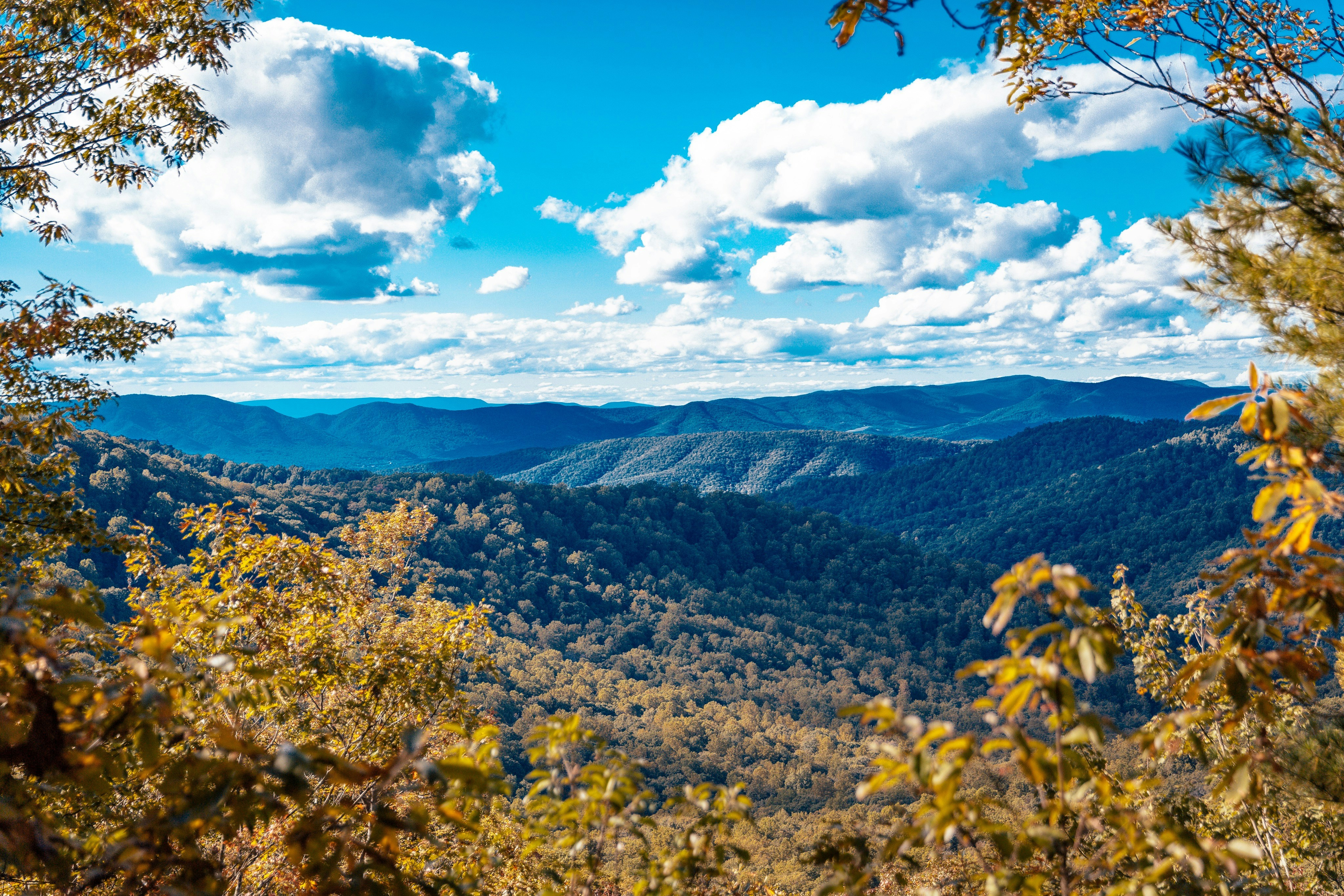 Photo by calebholden