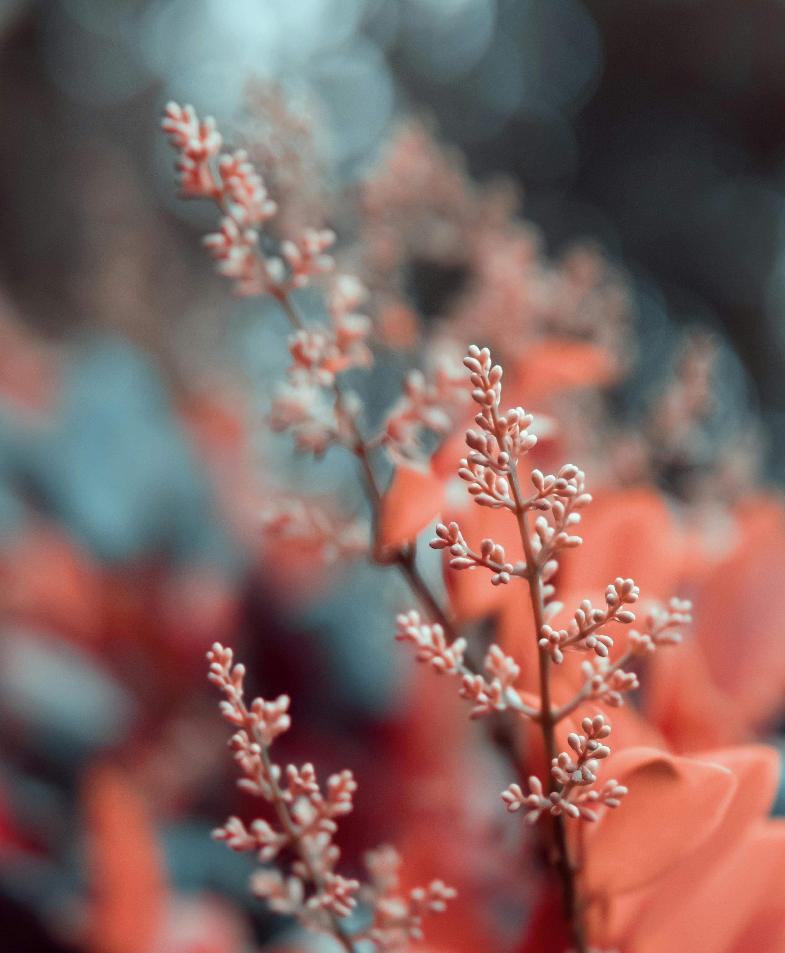 Photo by nature_of_the_experiment