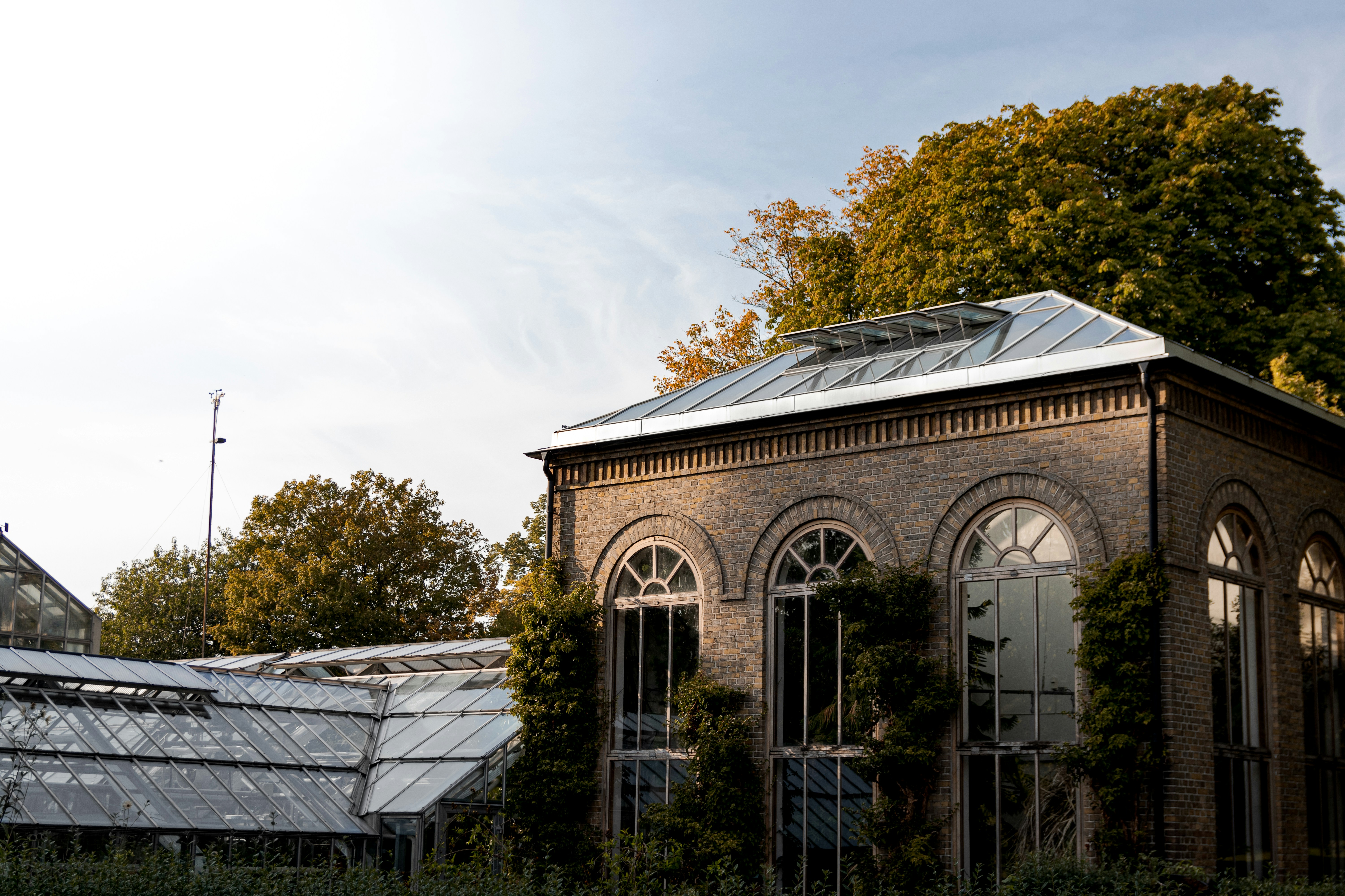 Photo by karlhornfeldt