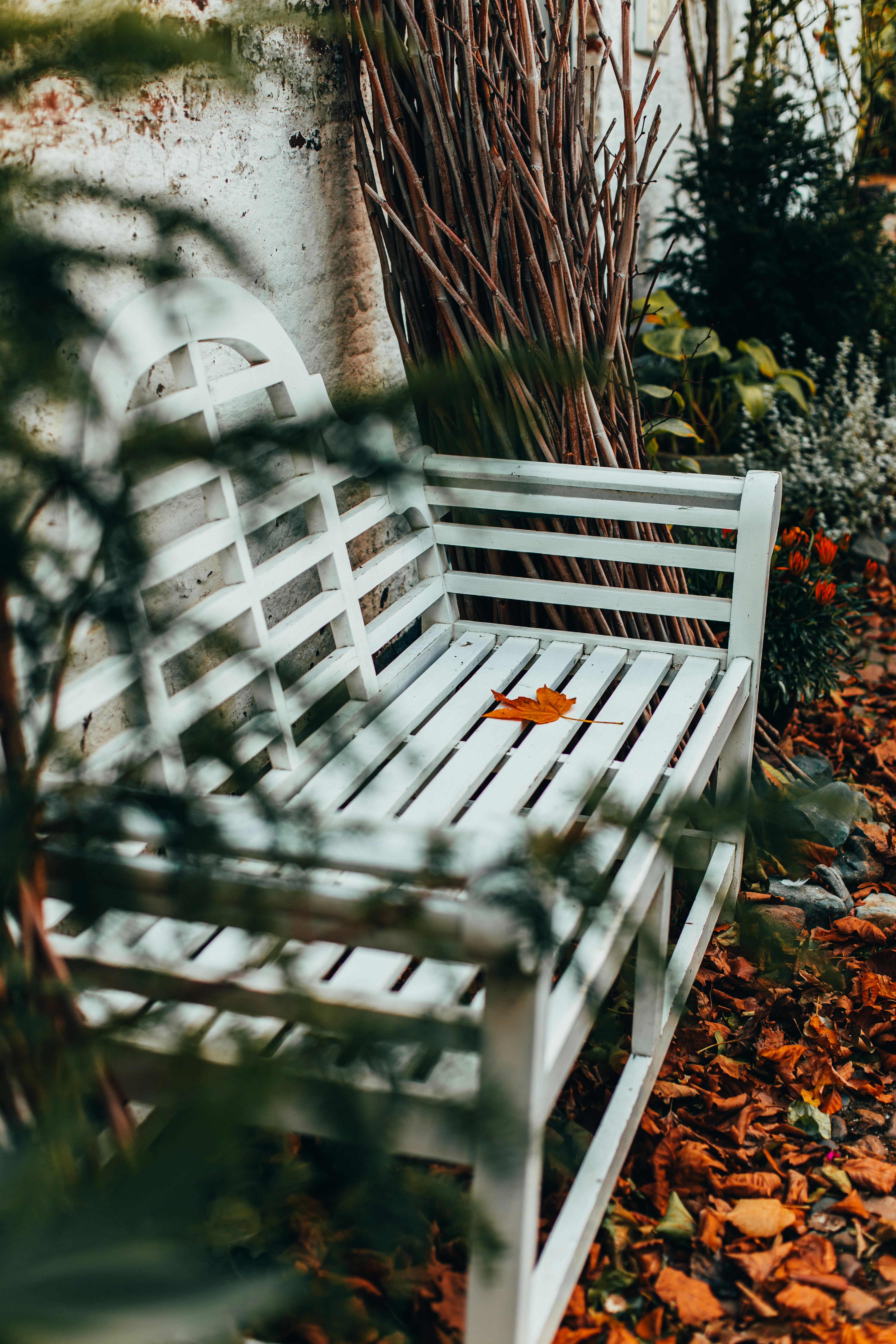 Photo by fleurbrebels