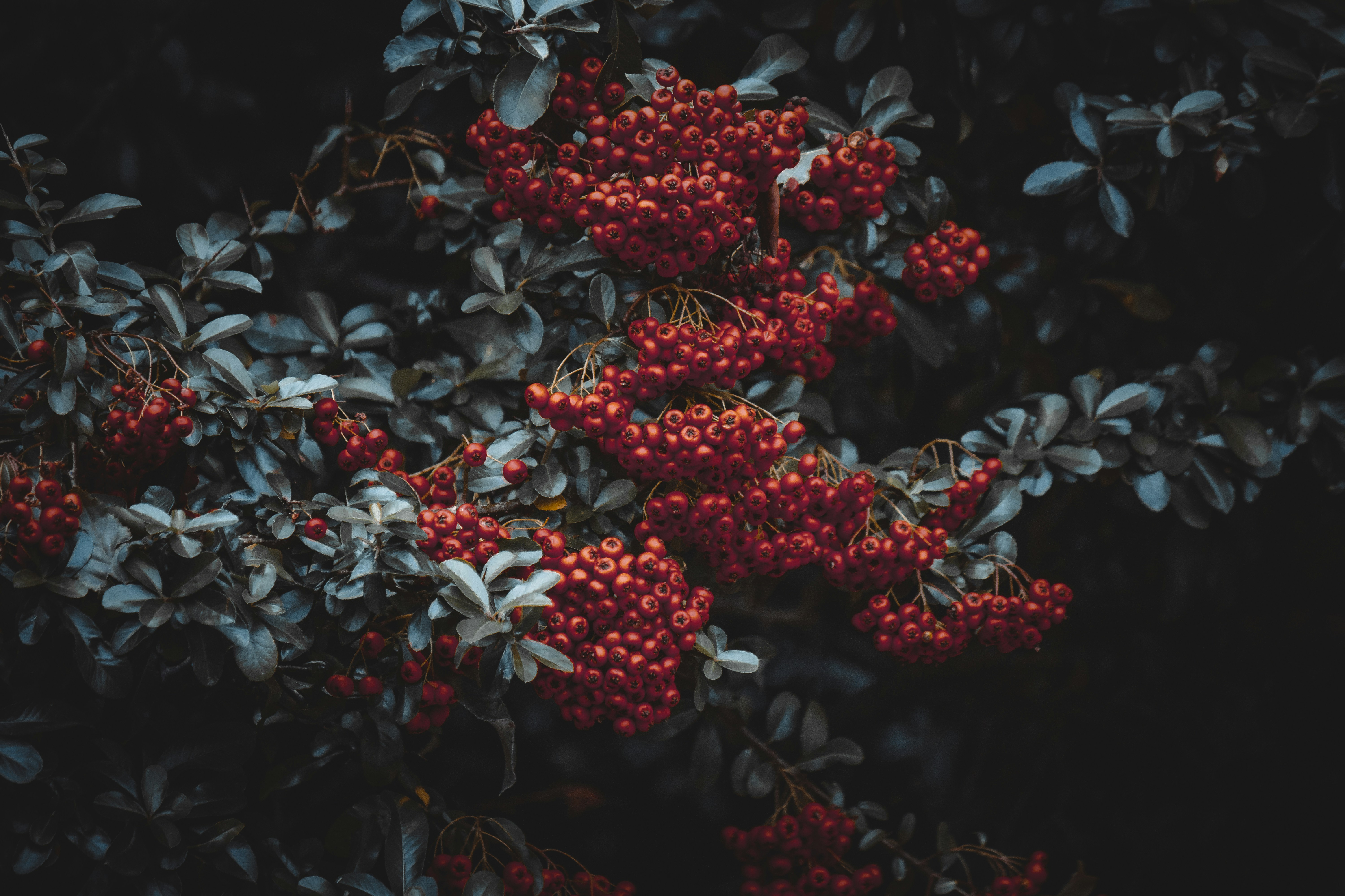 Photo by elisamoldovan