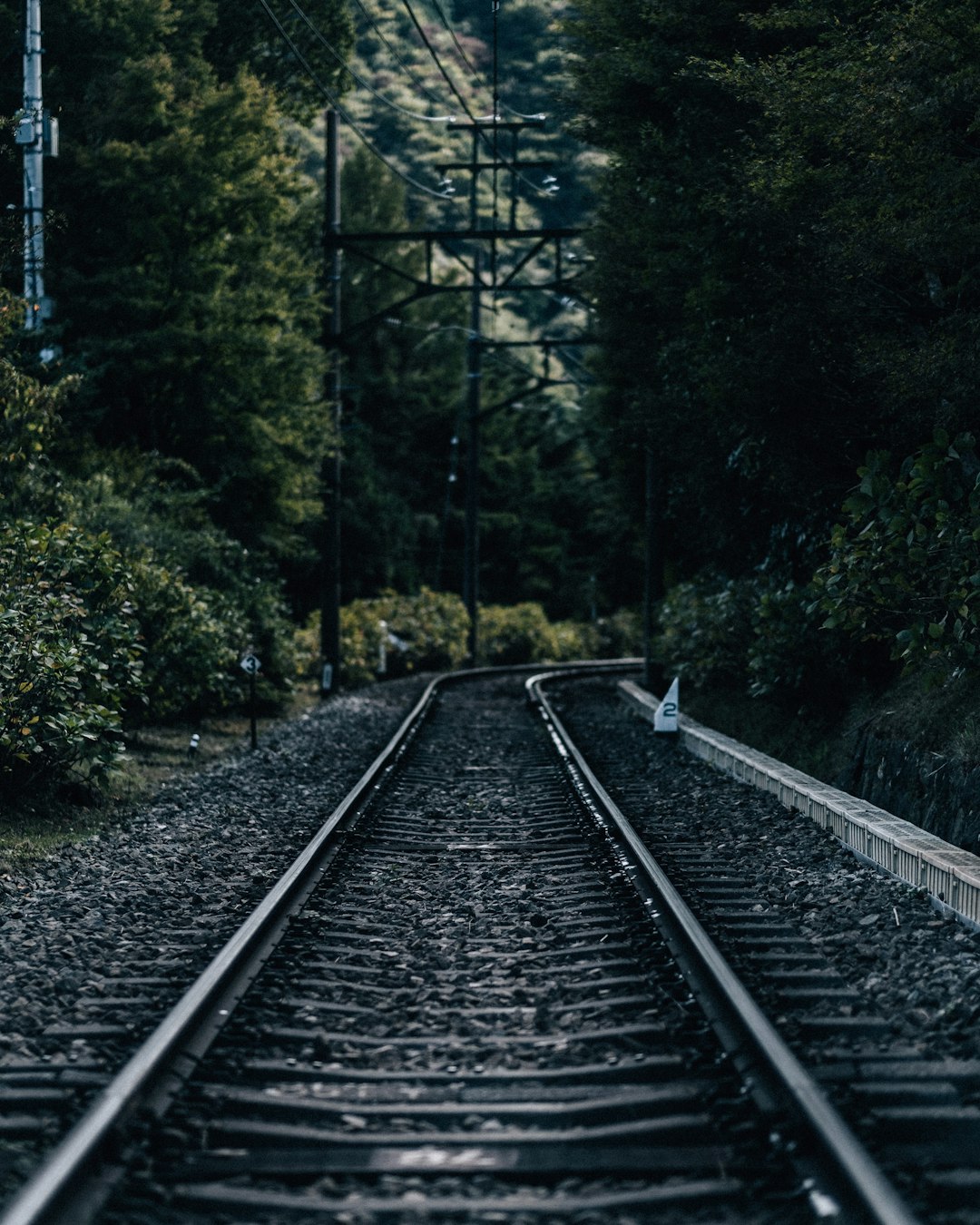 black metal train rail near green trees during daytime