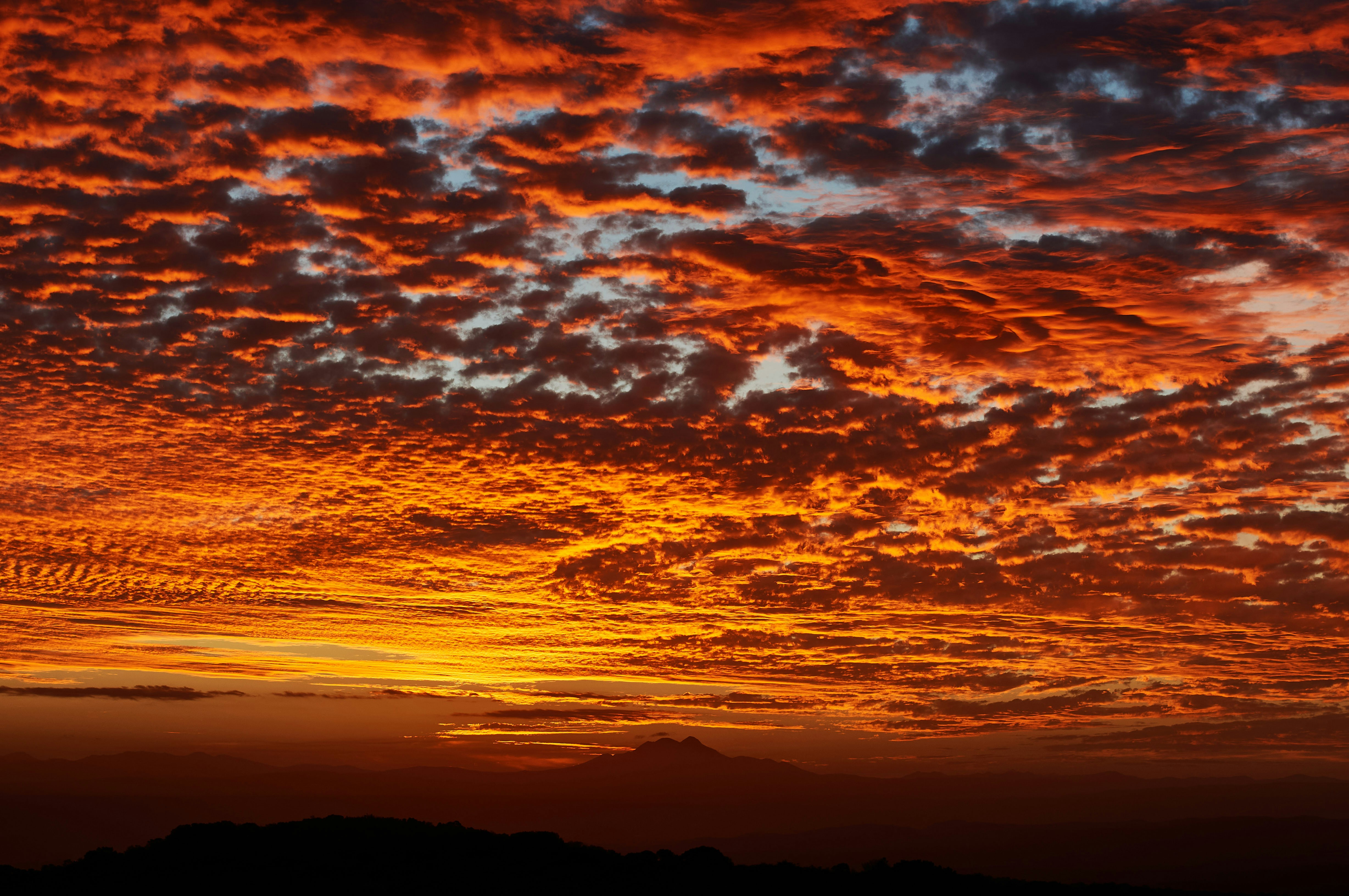 Photo by wolfgang_hasselmann